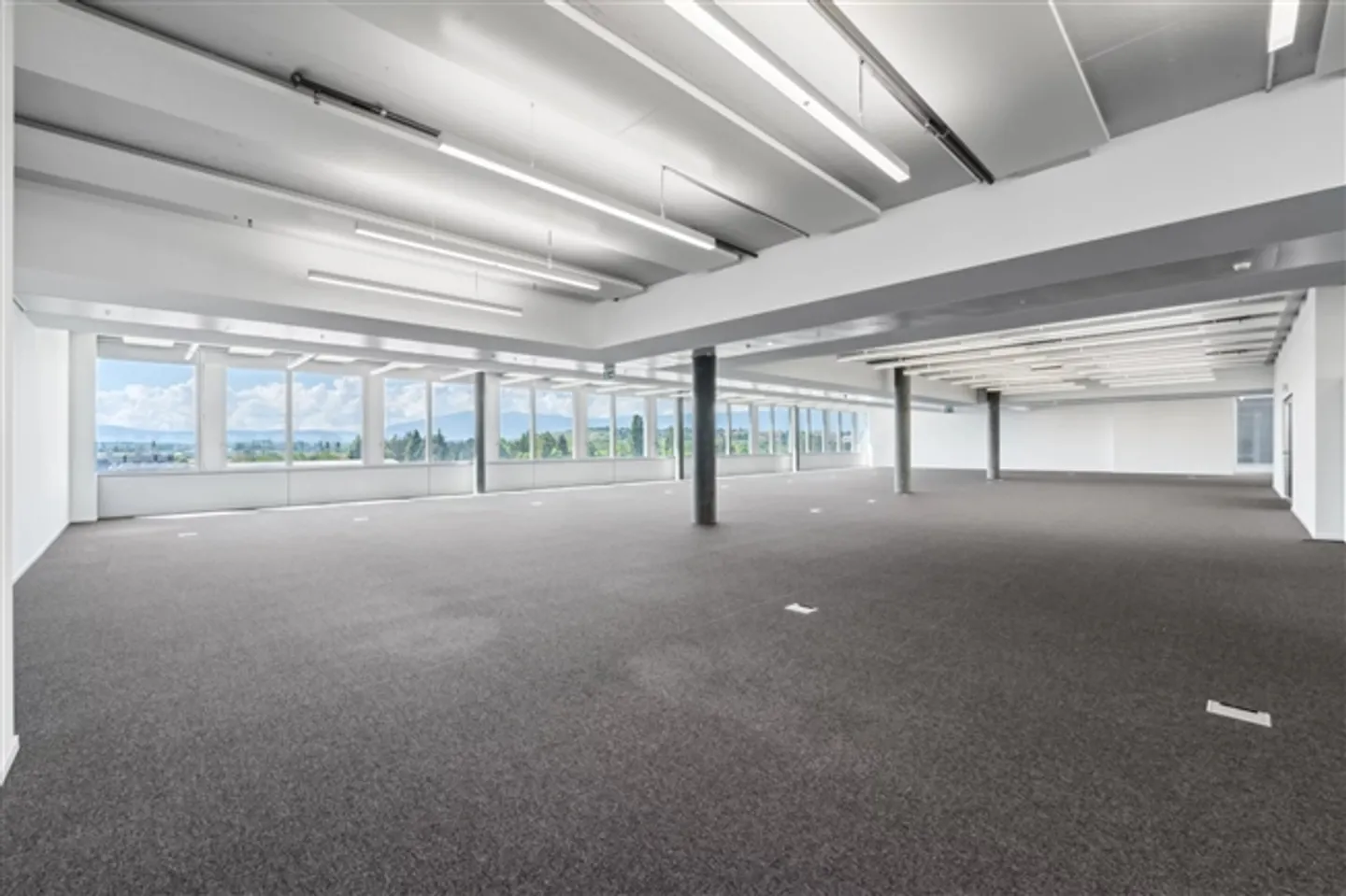 Beautiful semi-finished spaces in Plan-les-Ouates - Photo 8 of 10