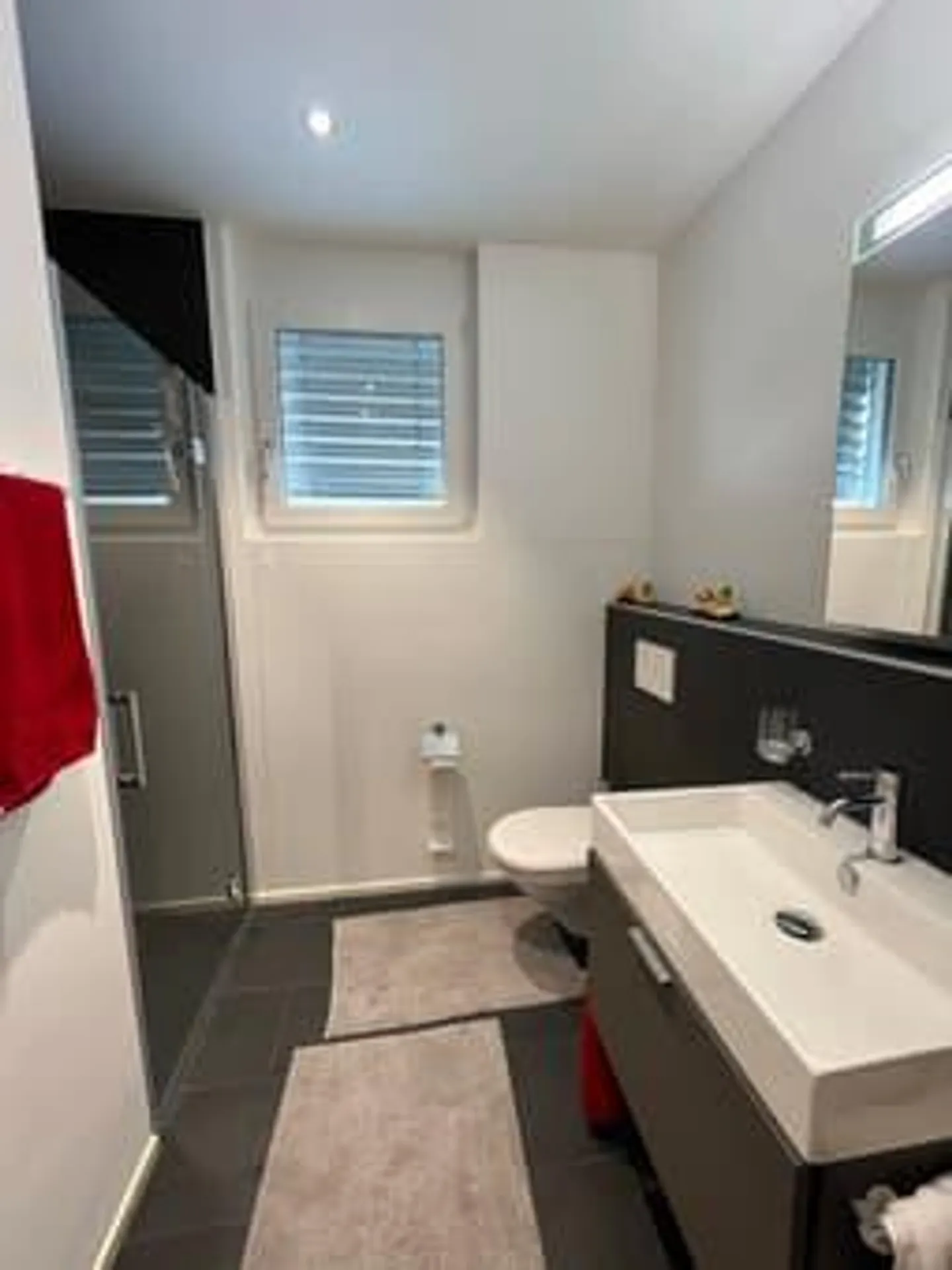 Modern 4.5-room terrace apartment in Sissach with panoramic view - Photo 18 of 25