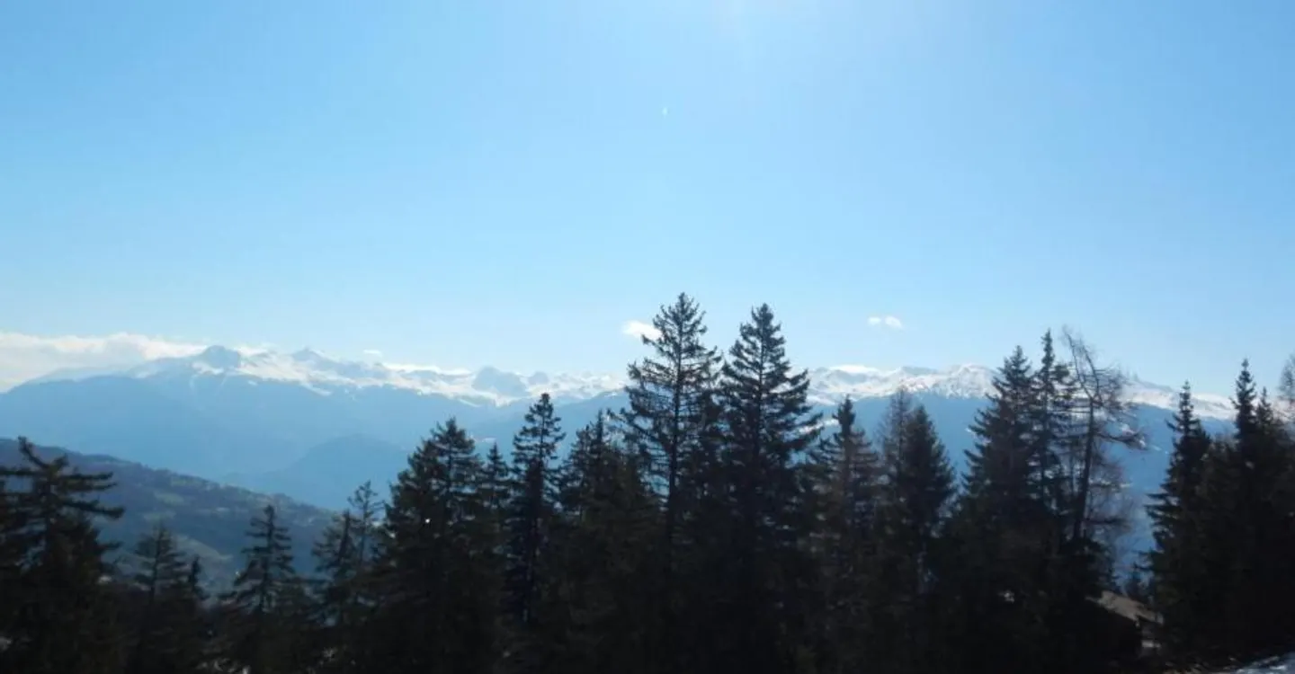 Appartamento 2 locali ad Anzère - Foto 9 di 9