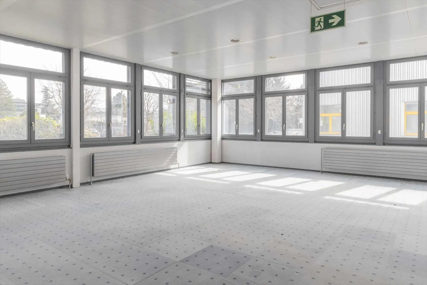 Multipurpose building with 3 levels in Meyrin - Photo 5 of 13