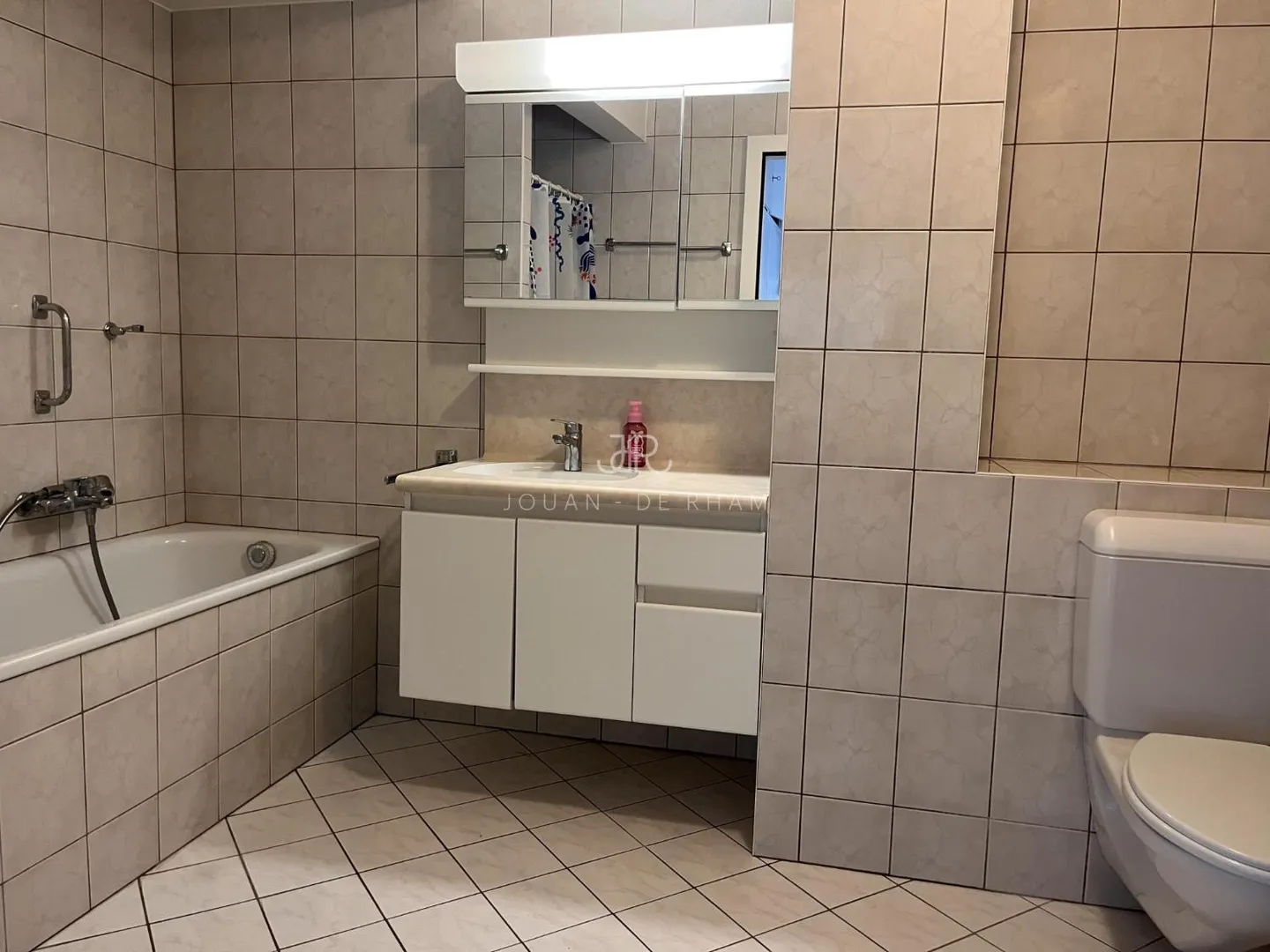 Large apartment with lake view and 4 rooms for rent in Chataigneriaz - Photo 8 of 12
