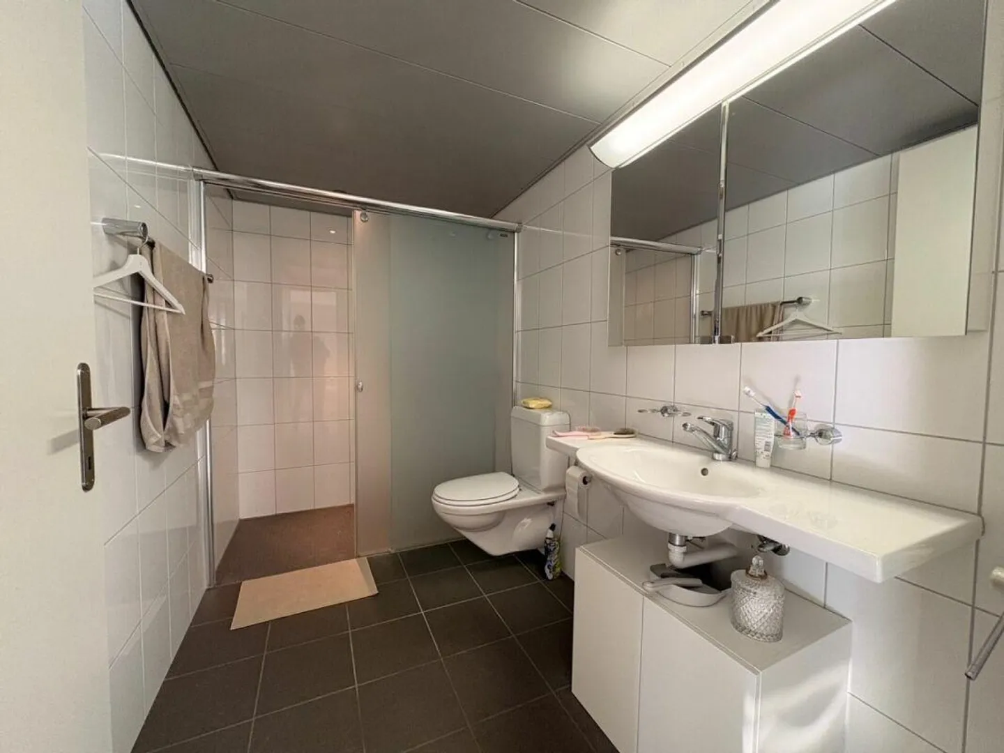 Incantevole appartamento giardino 2,5 stanze a Rothenburg - Foto 4 di 8