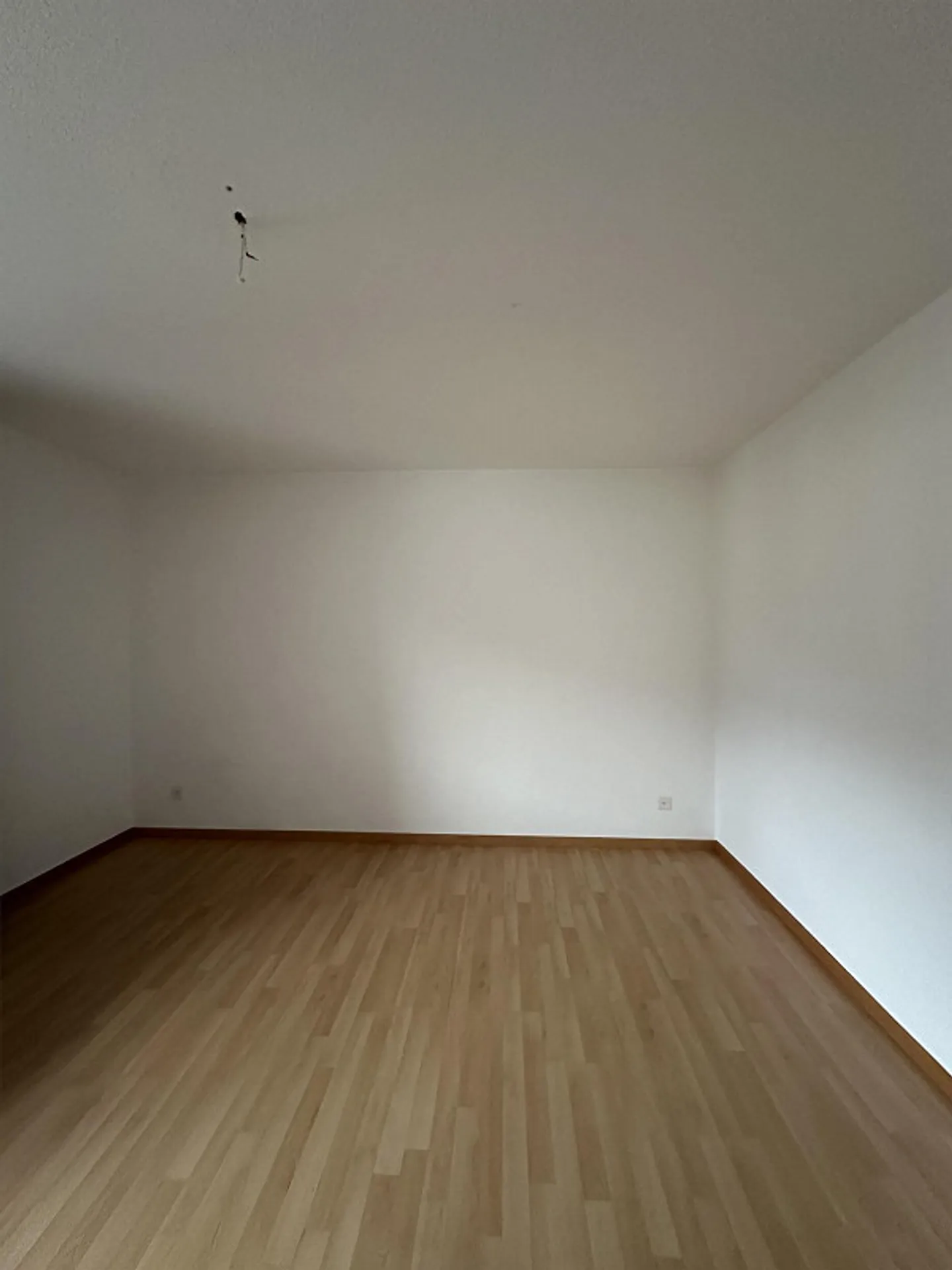 Charmante 3.5 Zimmer Wohnung - Foto 11 von 14