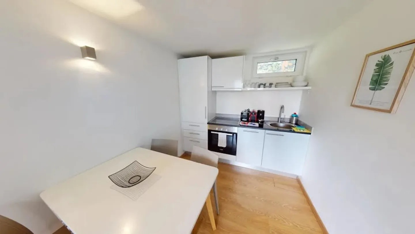 Offre limitée ! Vue sur le toit et emplacement central : Appartement 1 chambre à Lausanne - Photo 2 sur 8