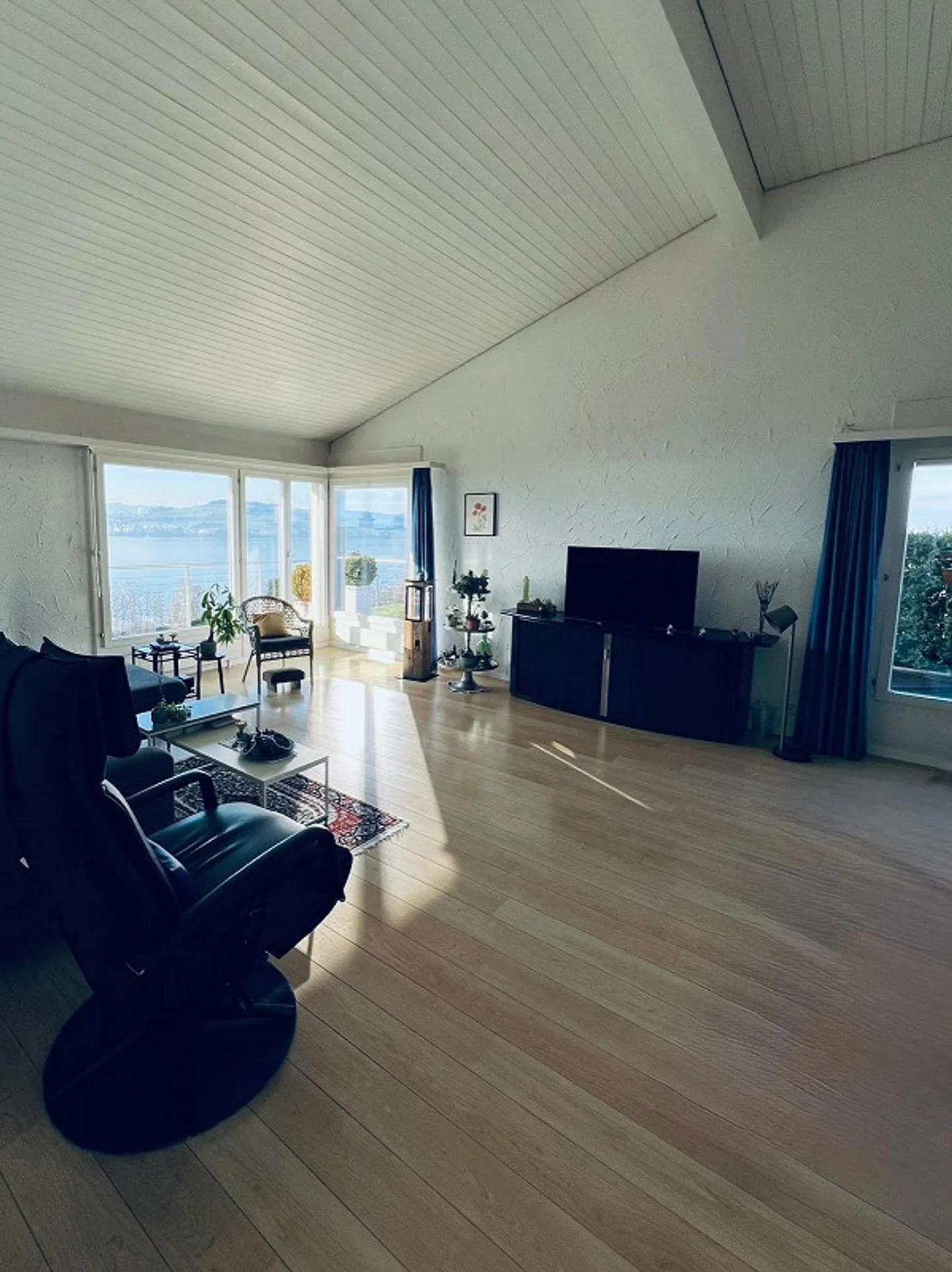 Exclusive Living with Panorama - Your Retreat Above the Lake - Photo 9 of 20