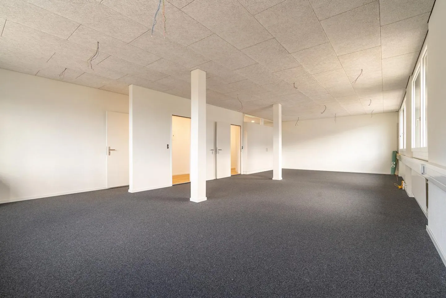 Bureau et espaces de pratique à Kägiswil - Photo 3 sur 8