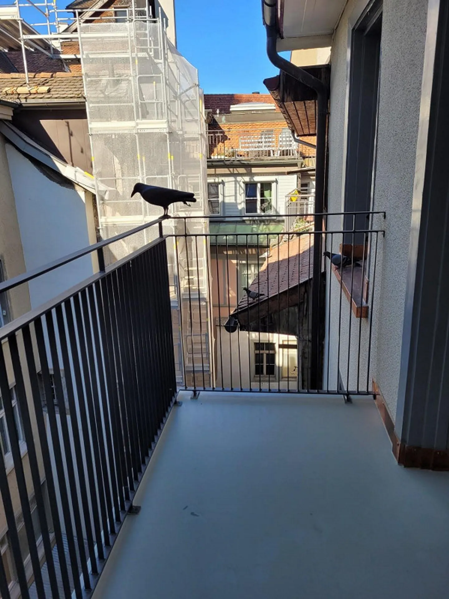 Exclusive Single Apartment in the City Center - Photo 7 of 9