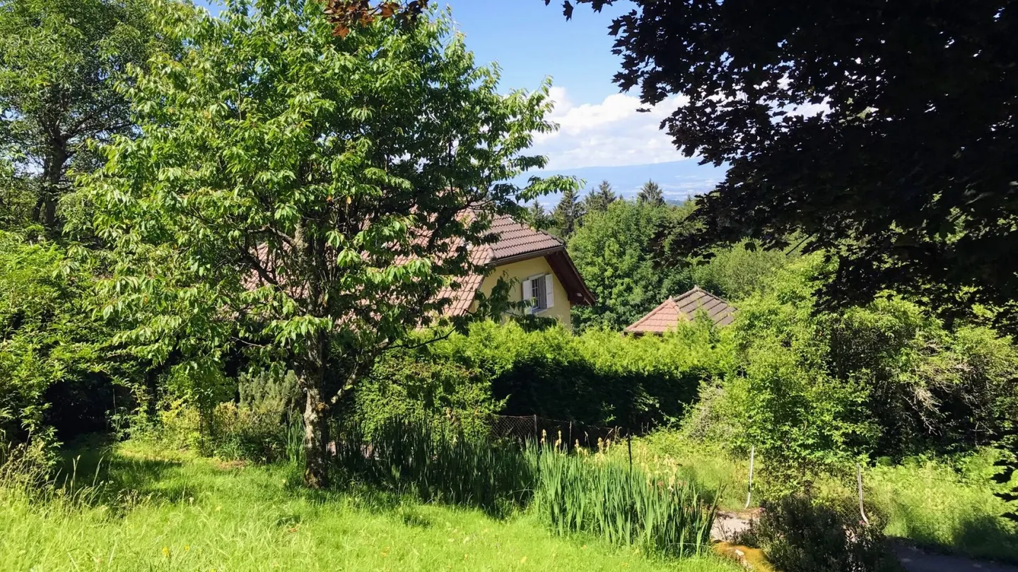 Adjacent Villa, Plot No. 2 with 4.5 Rooms - Photo 11 of 20