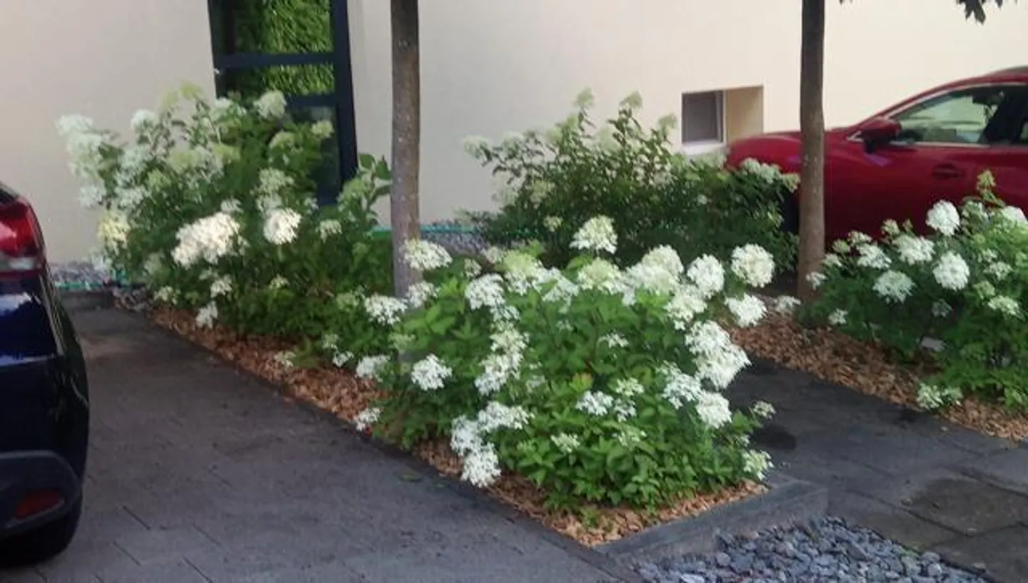 Bern_Koppigen - Off to 2026: THE penthouse apartment with special charm - Photo 8 of 25