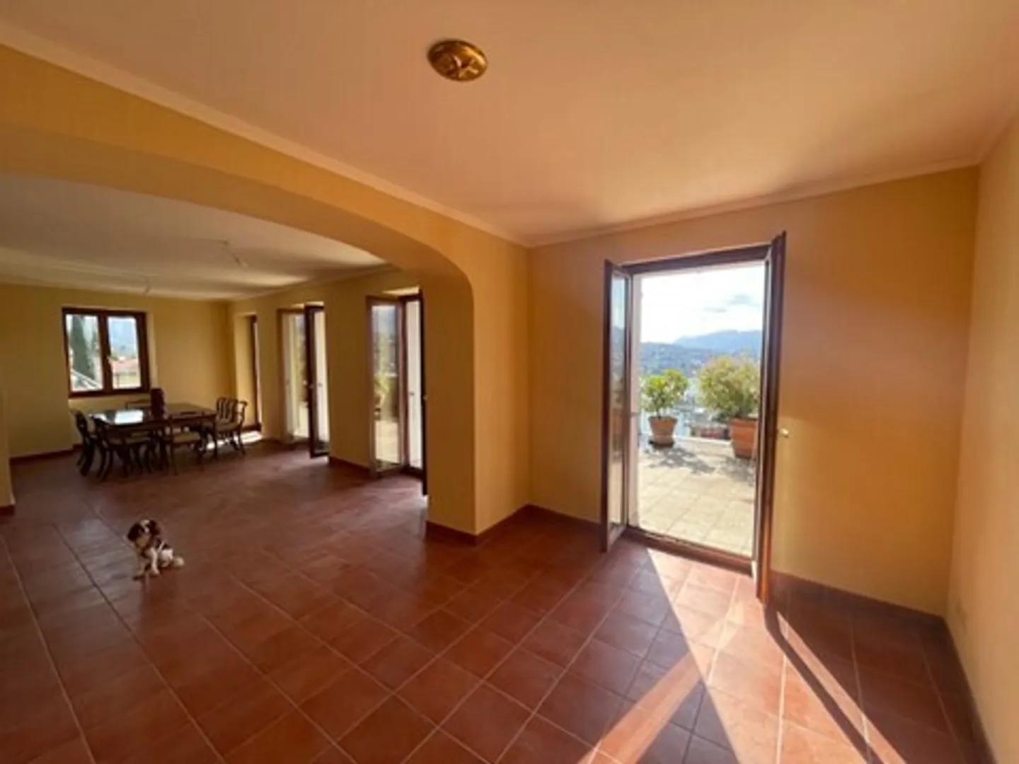 Appartamento in affitto - Foto 2 di 7