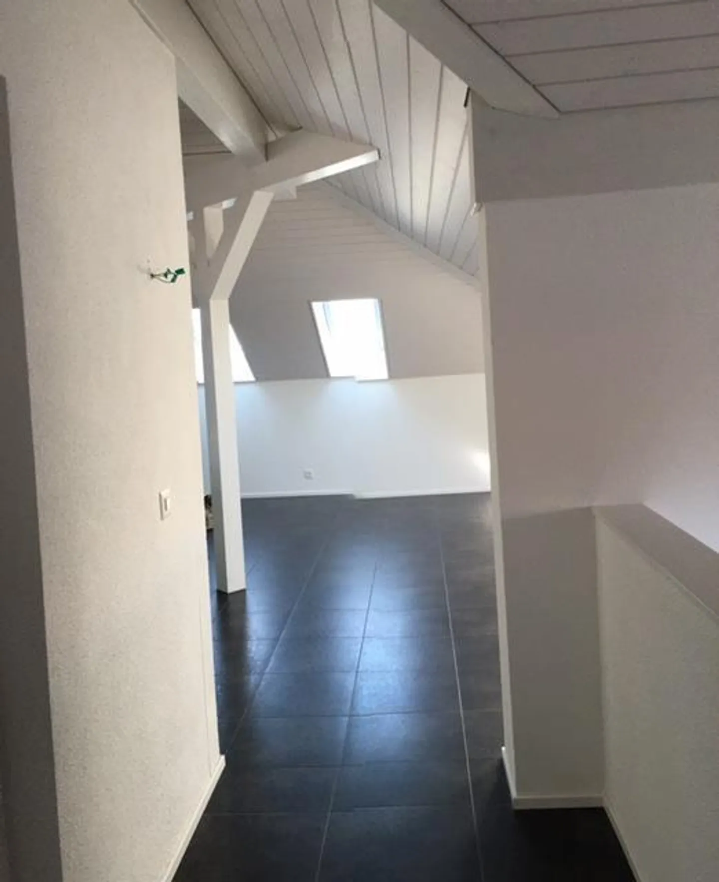 Bern_Koppigen - Off to 2026: THE penthouse apartment with special charm - Photo 11 of 25