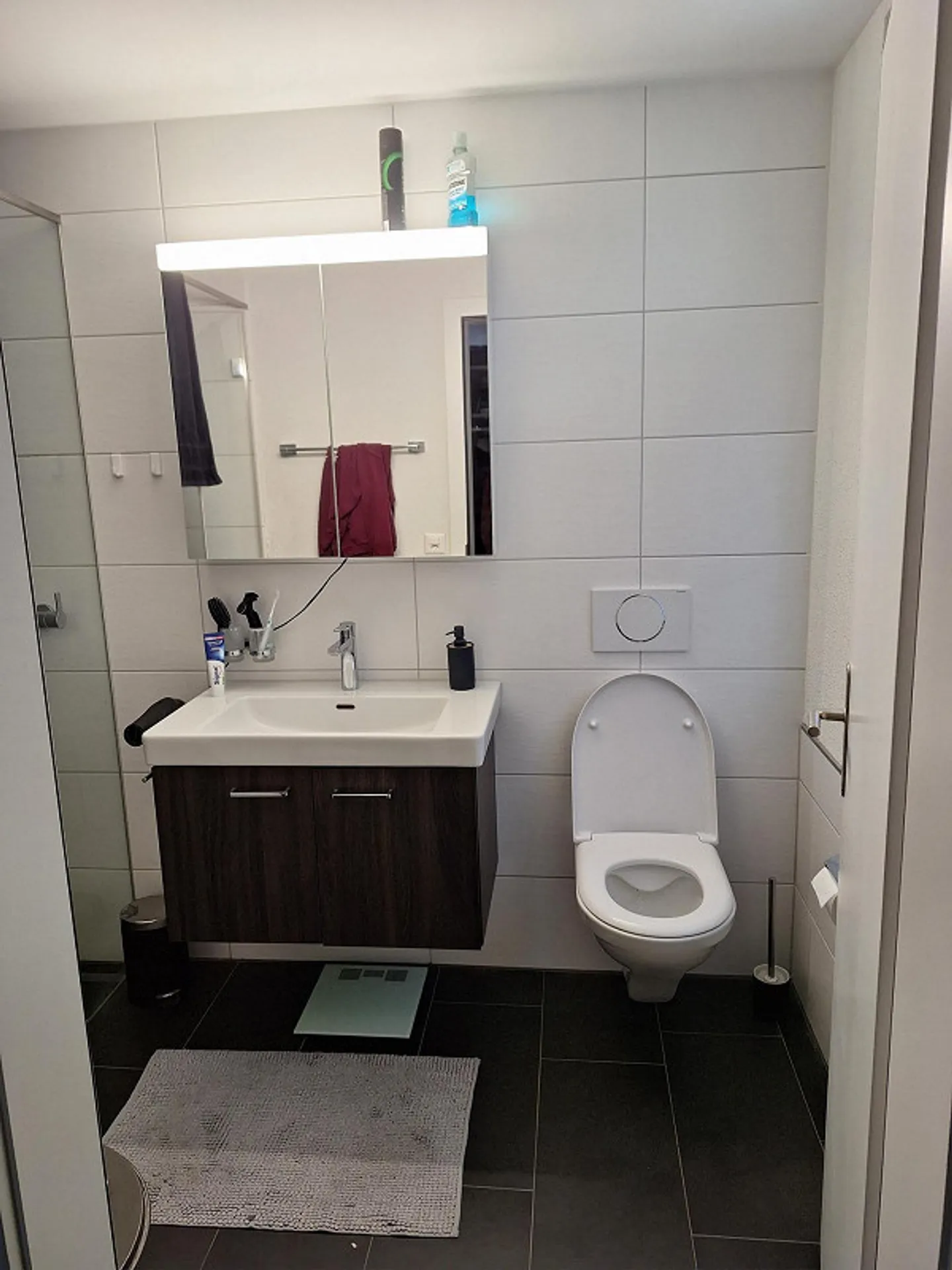 2.5 room apartment on the ground floor for rent - Photo 4 of 6