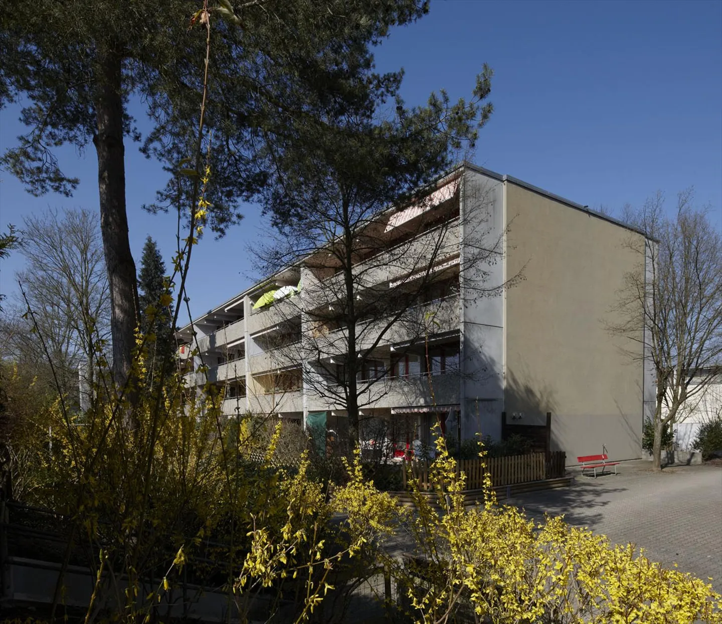 Vivere in un ambiente verde - Foto 1 di 5
