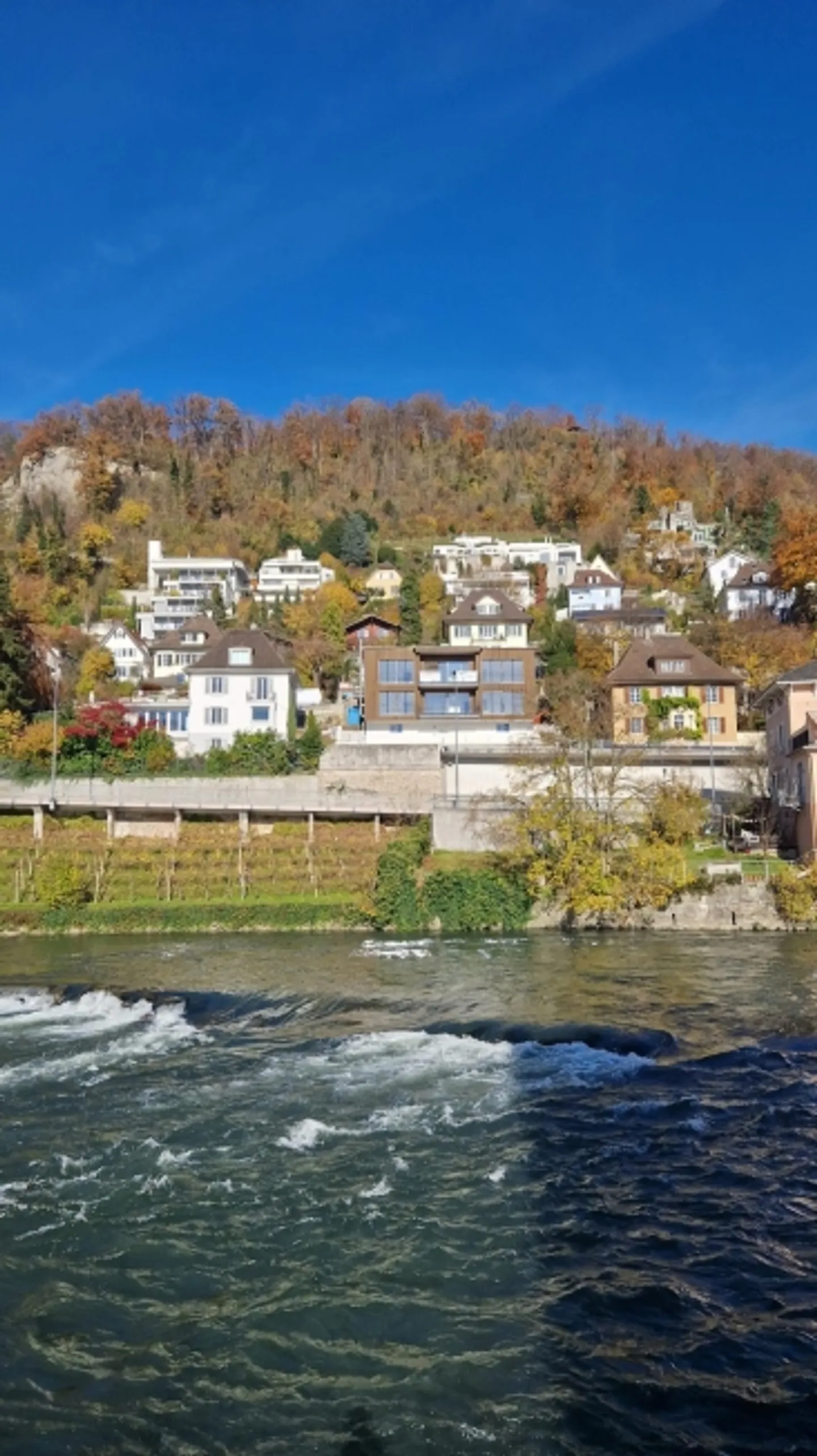 PREMIÈRE LOCATION NOUVEAU BÂTIMENT - Photo 2 sur 13