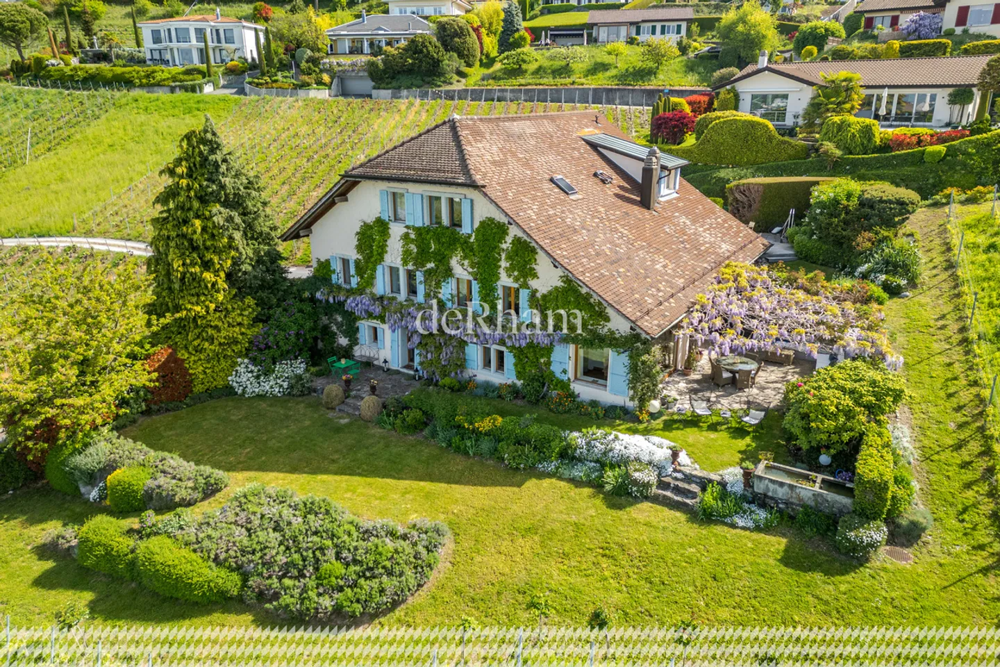 Casa vinicola affascinante nel cuore dei vigneti con vista sul Lago di Ginevra - Foto 1 di 23