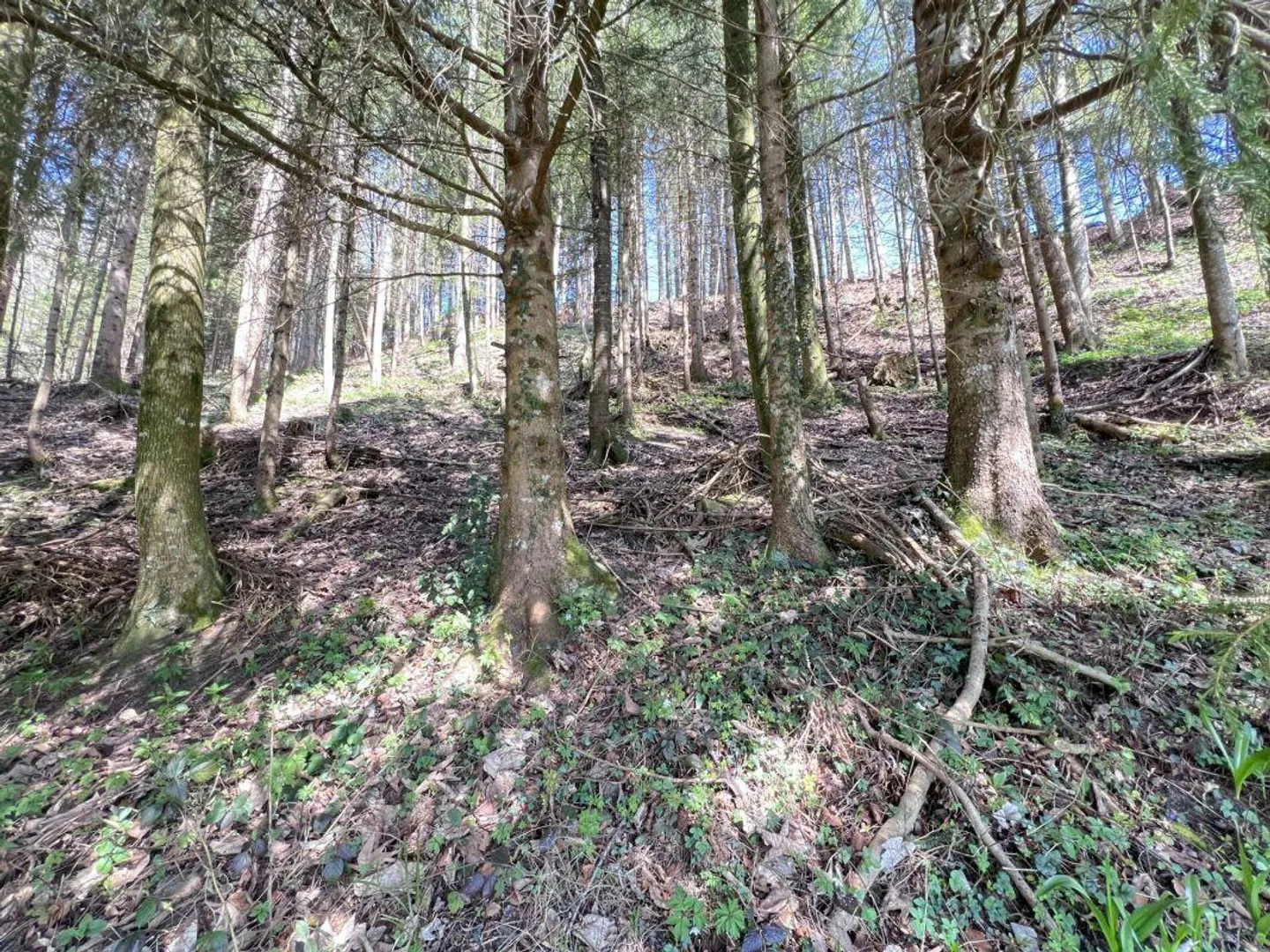 LA TUA CASA DEI SOGNI - CASA E TERRENO A RIEDEN SG, POSSIBILE SECONDA CASA - Foto 12 di 13