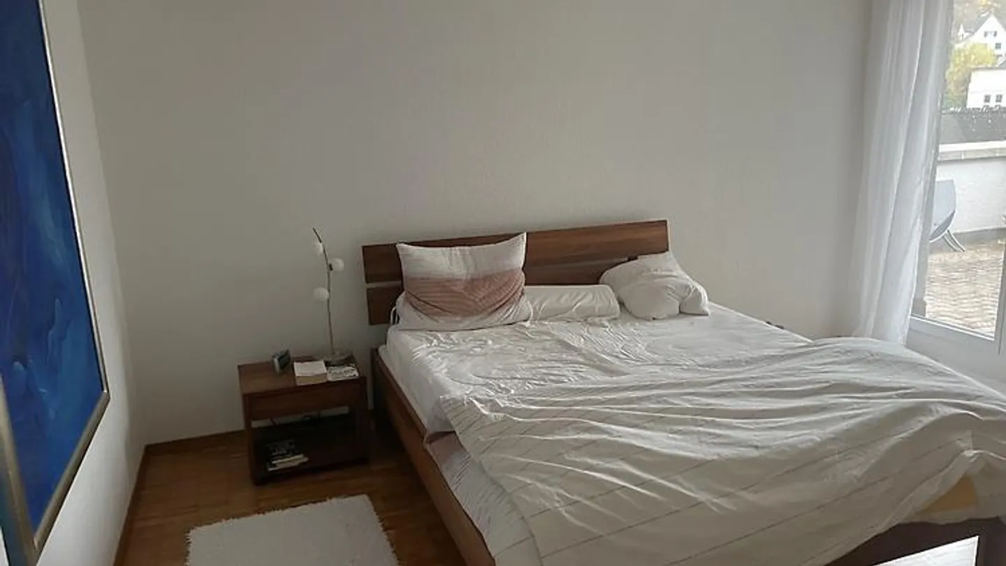 APPARTAMENTO ATTICO 2½ STANZE A BADEN (AG), ARREDATO, TEMPORANEO - Foto 6 di 6