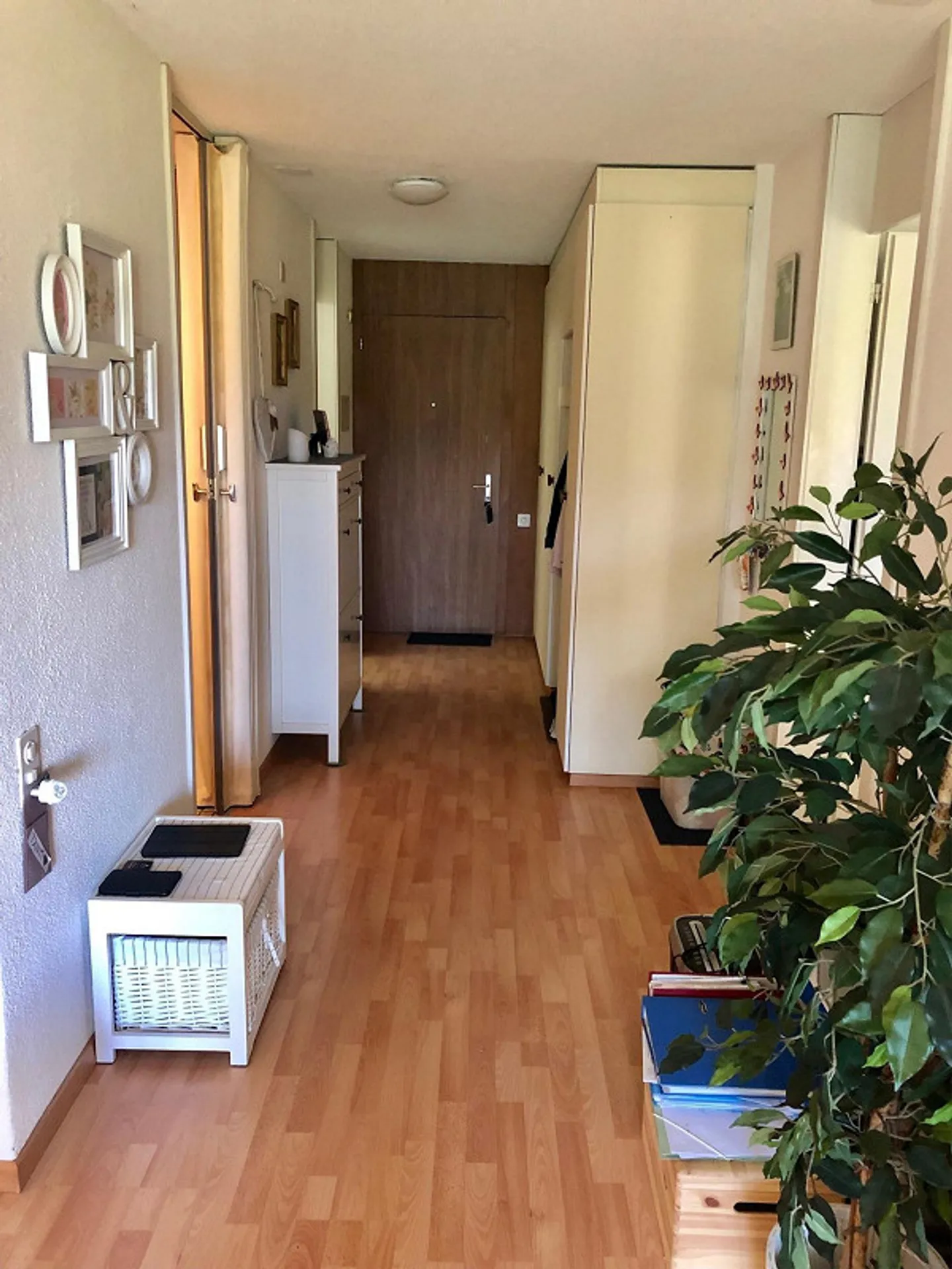 2-room apartment with garden seating area - Photo 2 of 7