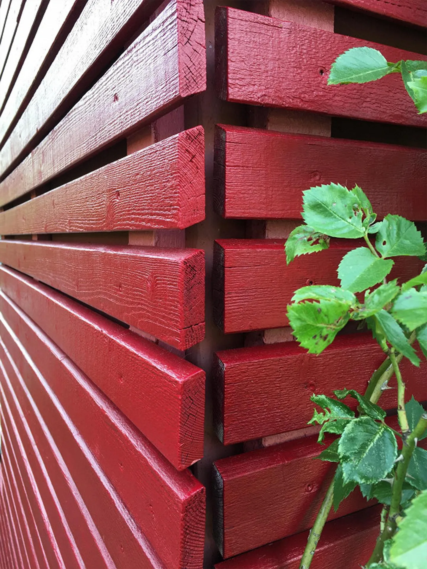 Casa al lago - Foto 7 di 14