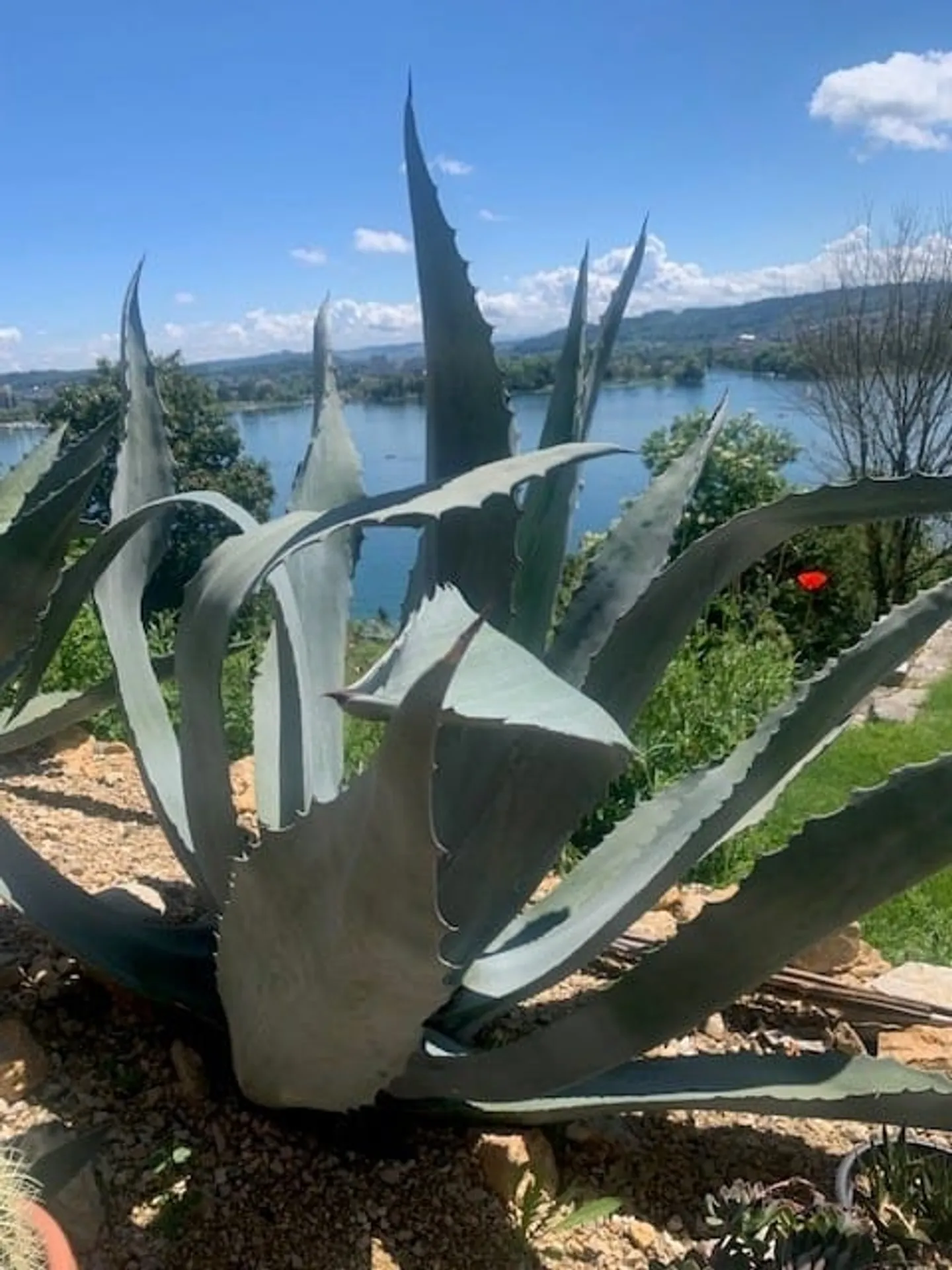 Charming Villa with Lake View - Photo 8 of 11