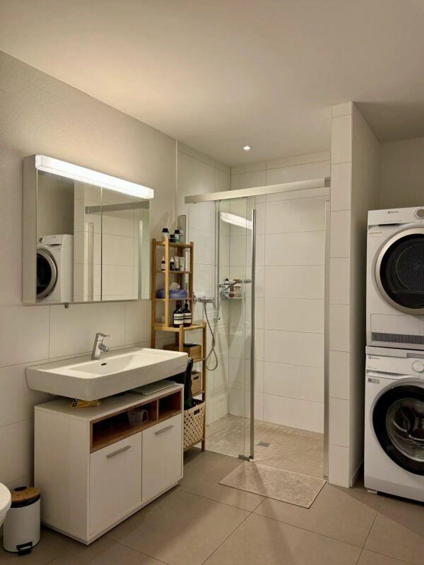 Modern Apartment in the Center of Ebikon - Photo 3 of 9