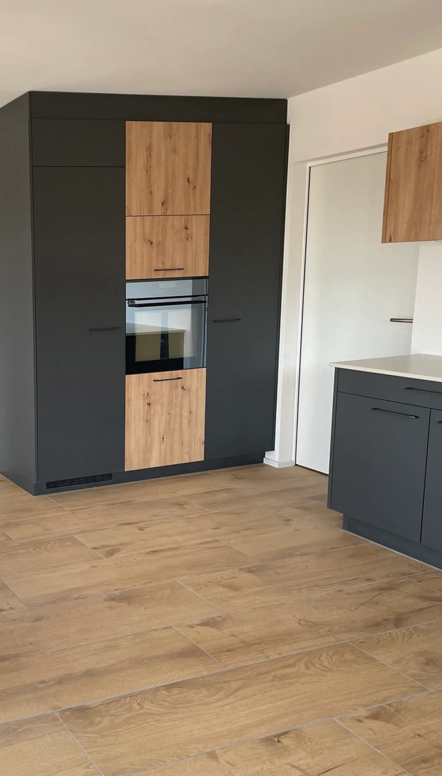 Magnifico NUOVO appartamento di 4,5 stanze con giardino nel quartiere delle ville - Foto 2 di 11