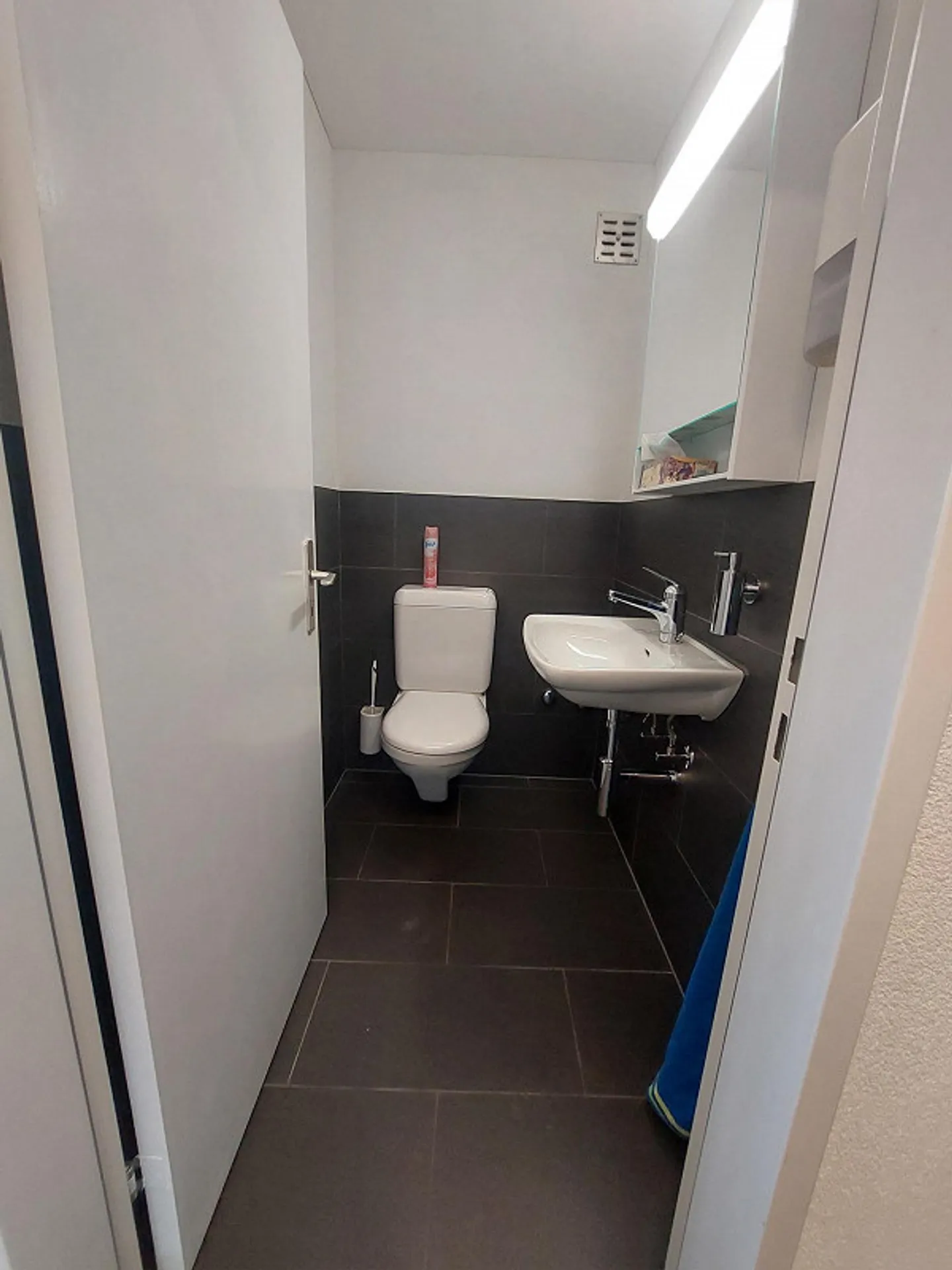 Office Space in the Center of Ilanz - Photo 9 of 10