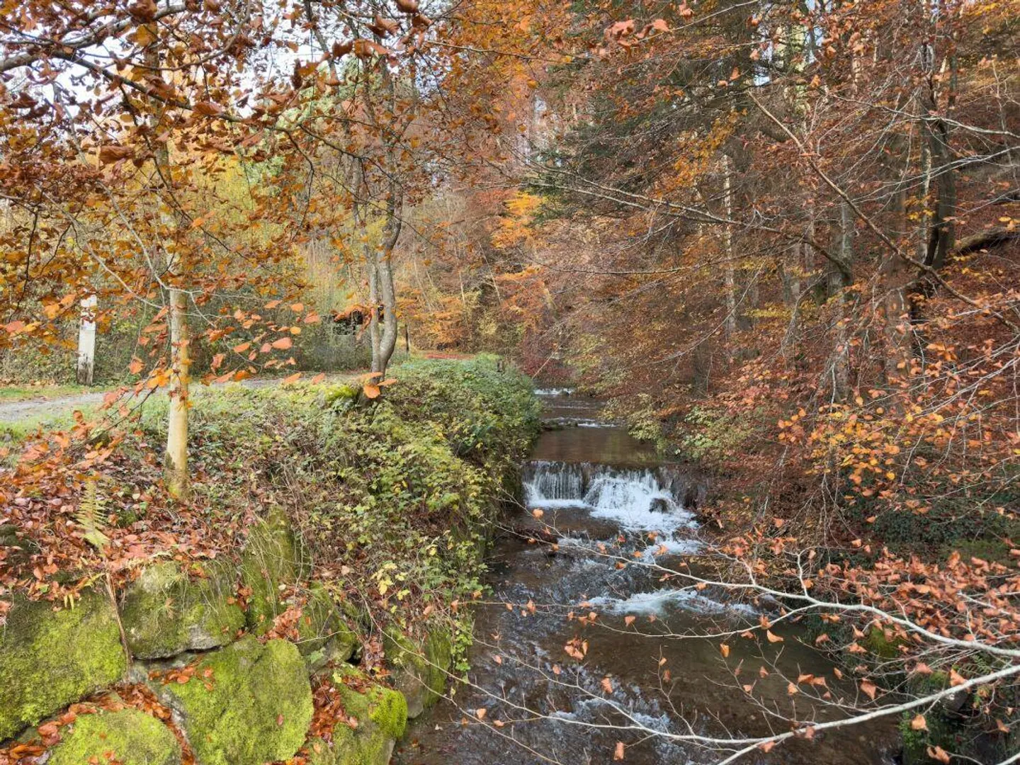 Your Loge: Top Terrace House with Sunny and Unobstructed View - Photo 20 of 20