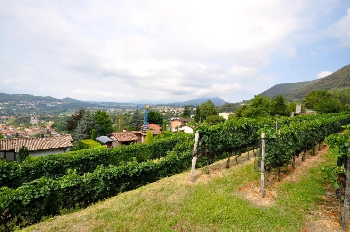 Building Plot in Morbio - Photo 8 of 10
