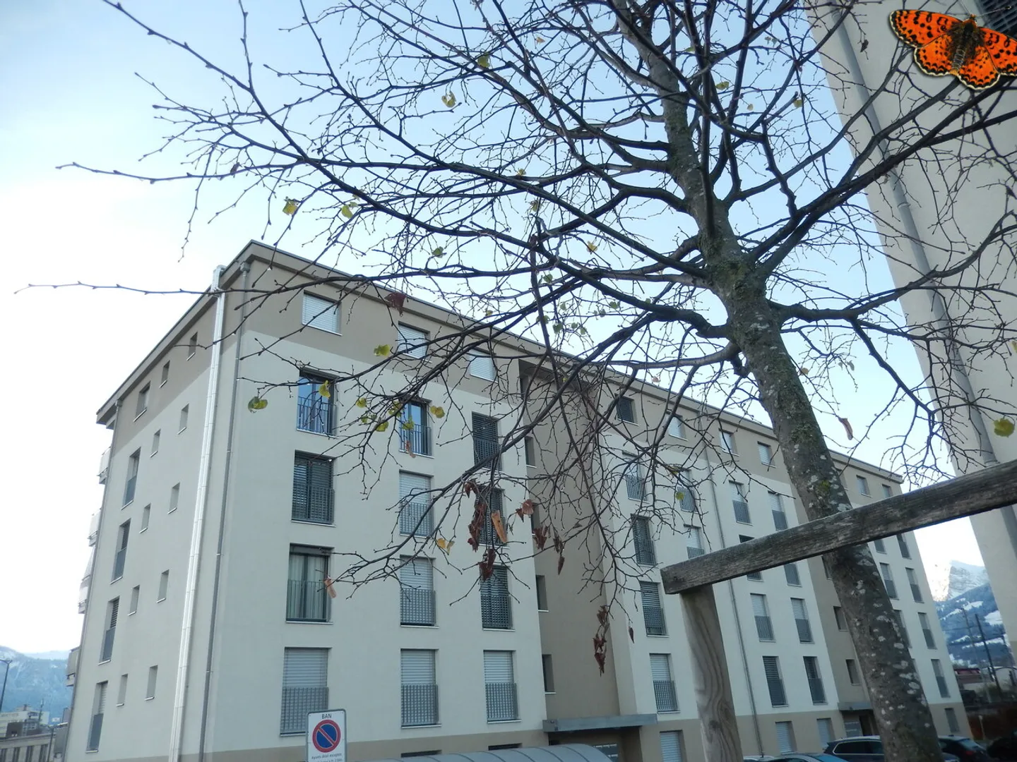 SUPERBO APPARTAMENTO 3 STANZE - Piano alto e vista superba sulle prealpi! - Foto 2 di 11