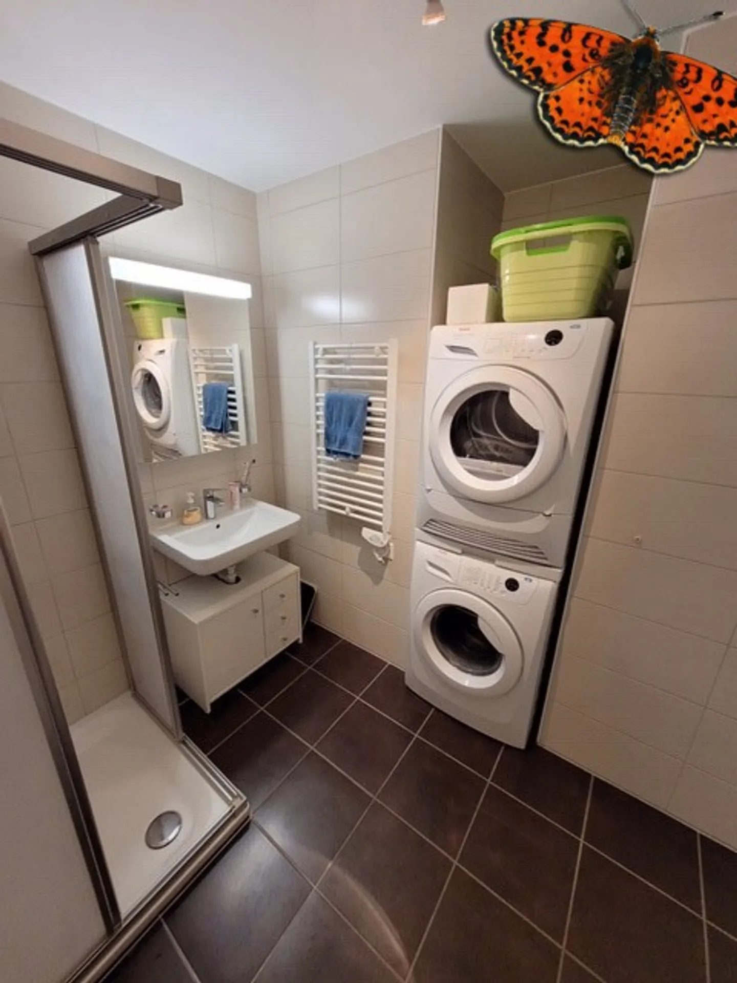 SUPERBO APPARTAMENTO 3 STANZE - Piano alto e vista superba sulle prealpi! - Foto 7 di 11