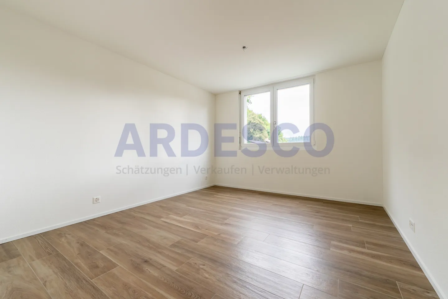 "Here Lives Life" - Photo 7 of 12