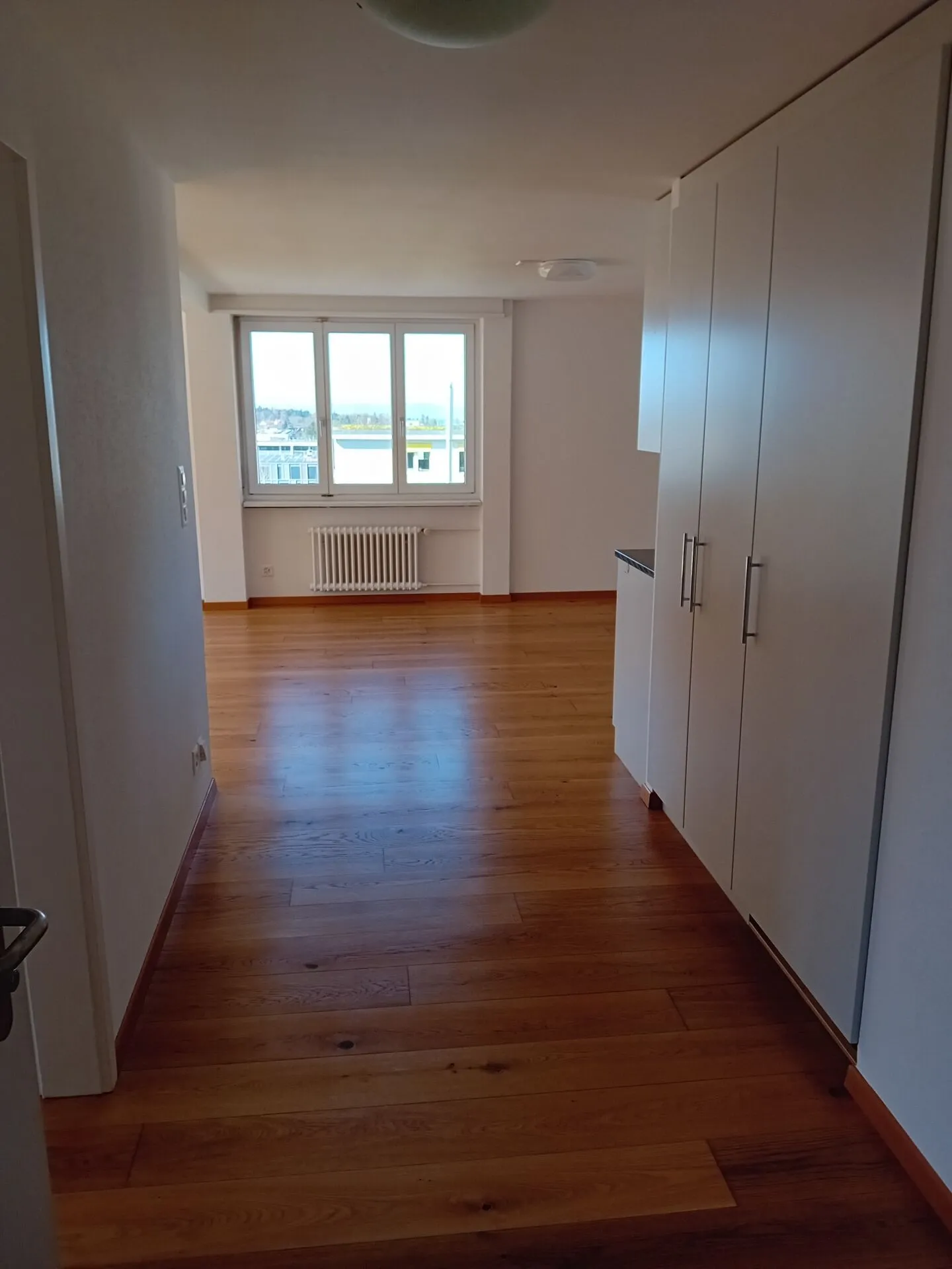 Appartamento 3.5 stanze appena ristrutturato in un tranquillo quartiere residenziale - Foto 3 di 5