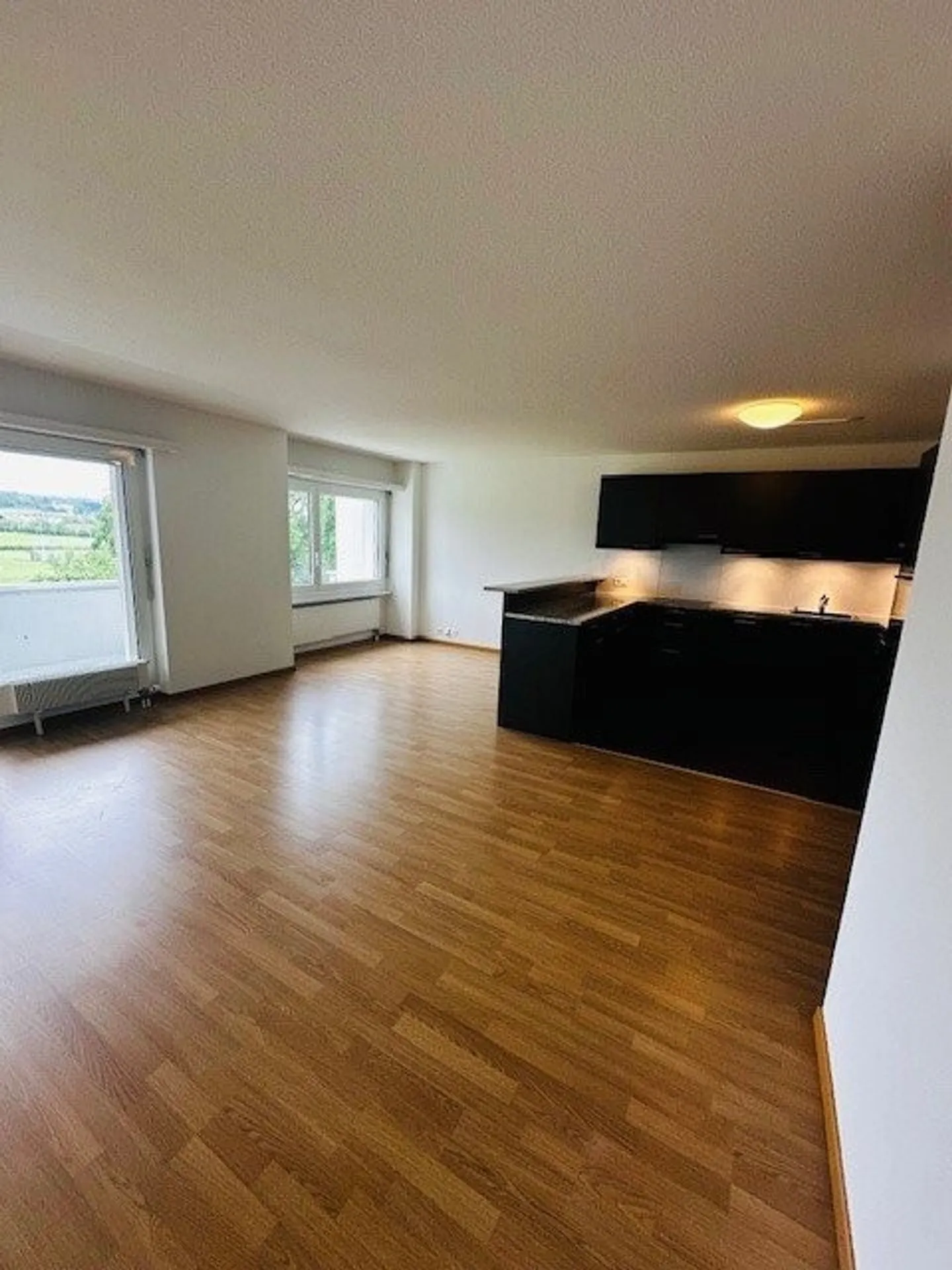 Beautiful living with a view - Photo 3 of 8