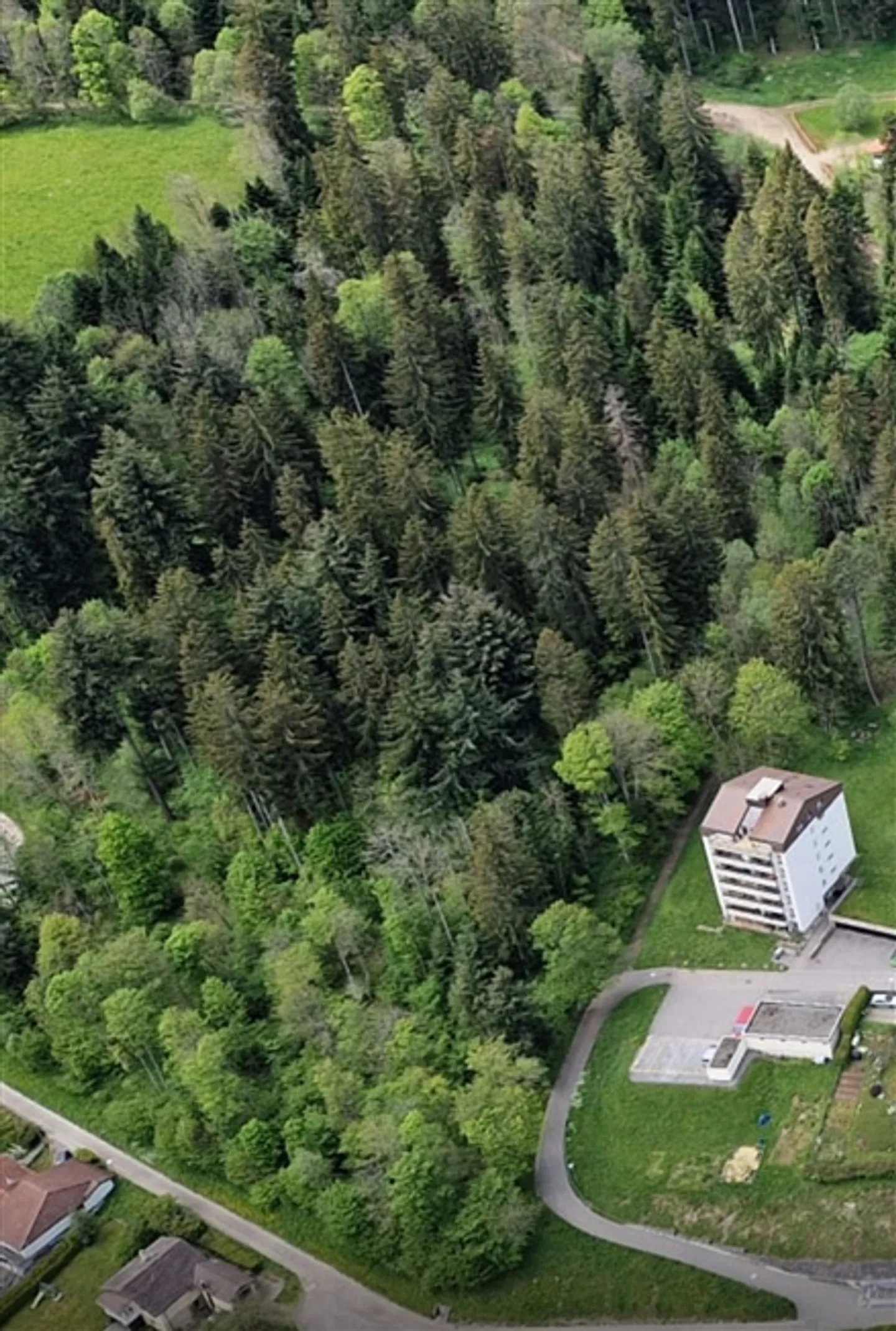 Exclusivity Renovated 4.5 Rooms with Stunning View of Val-de-Ruz - Photo 8 of 13