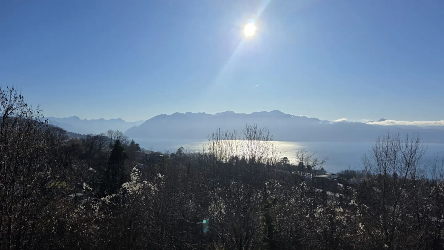 En parfaite symbiose avec le Léman - Photo 2 sur 13