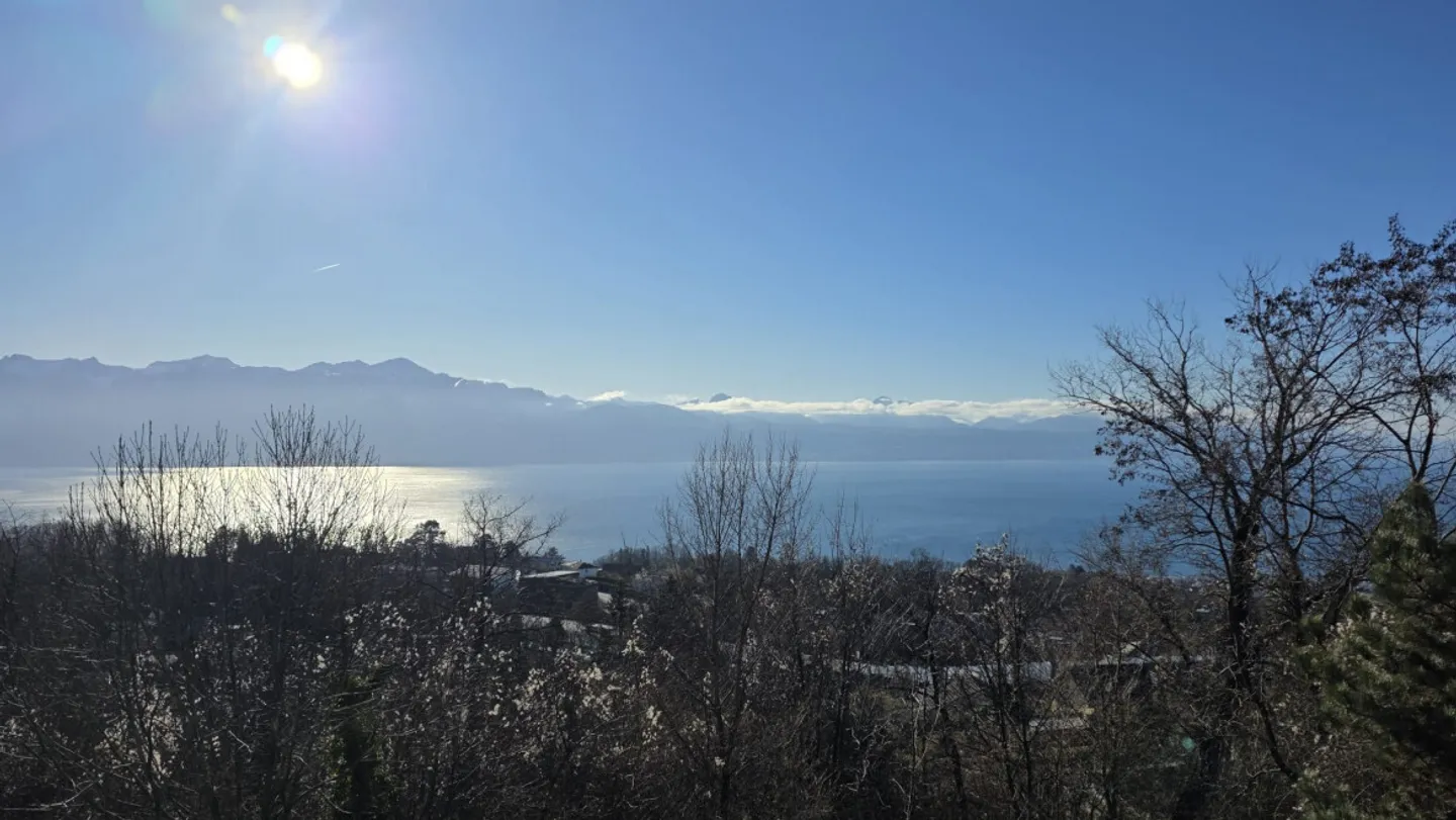 En parfaite symbiose avec le Léman - Photo 4 sur 13