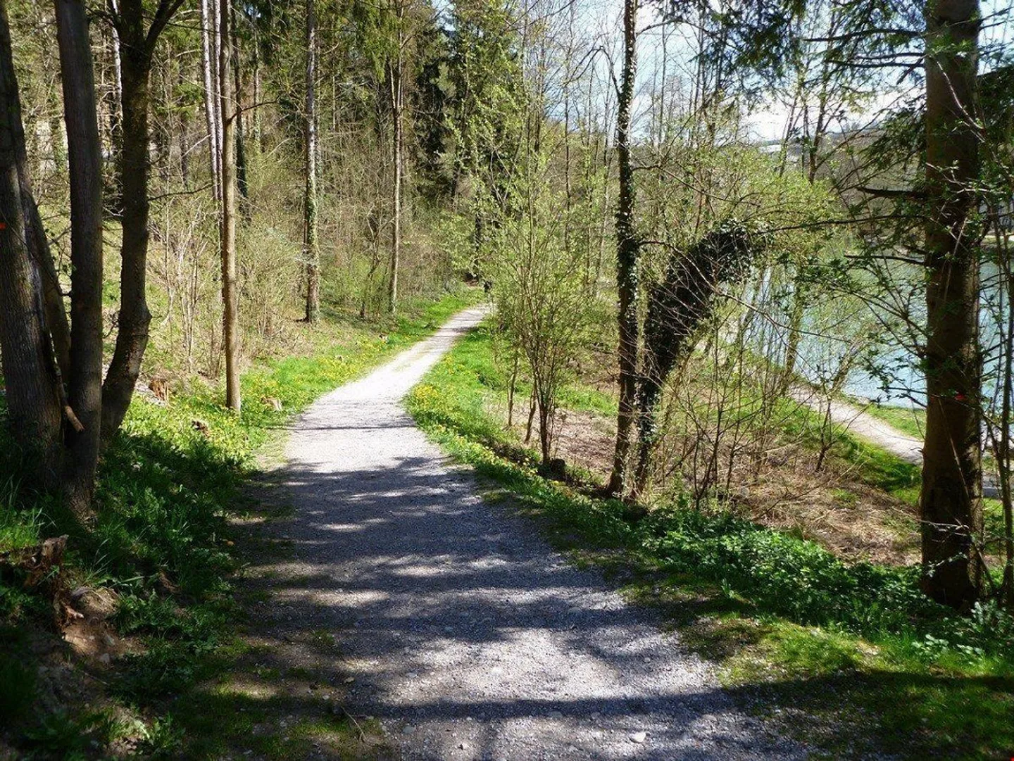 Bremgarten - Quartiere Ländli - Foto 8 di 10