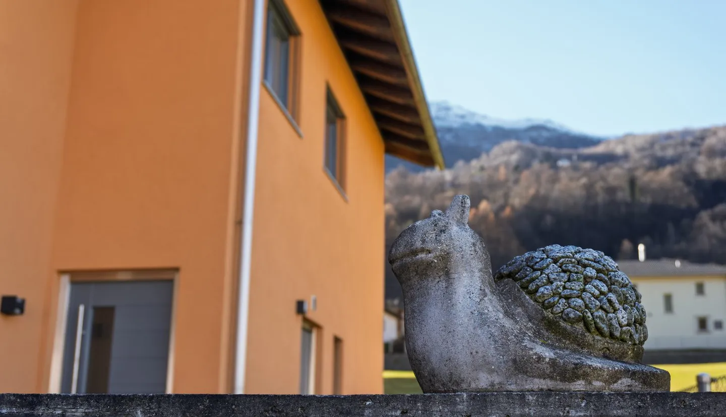 Solide 893 m³ Raumvolumen, Licht und Natur - Foto 9 von 36