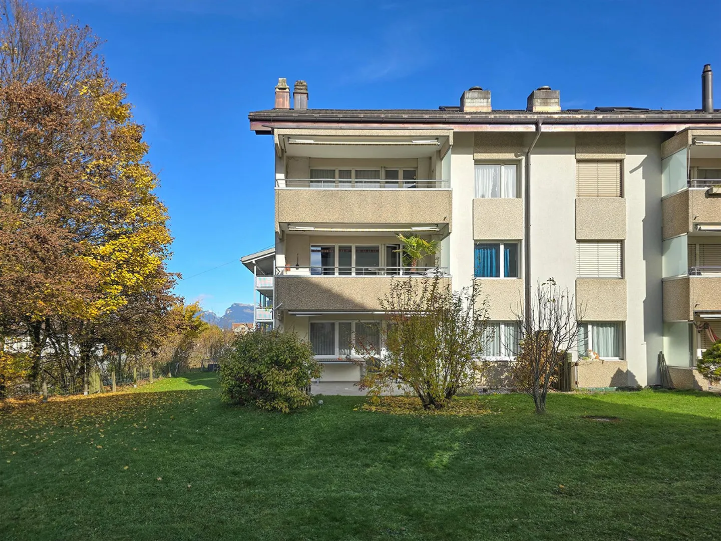 5 Room Apartment - Photo 1 of 28