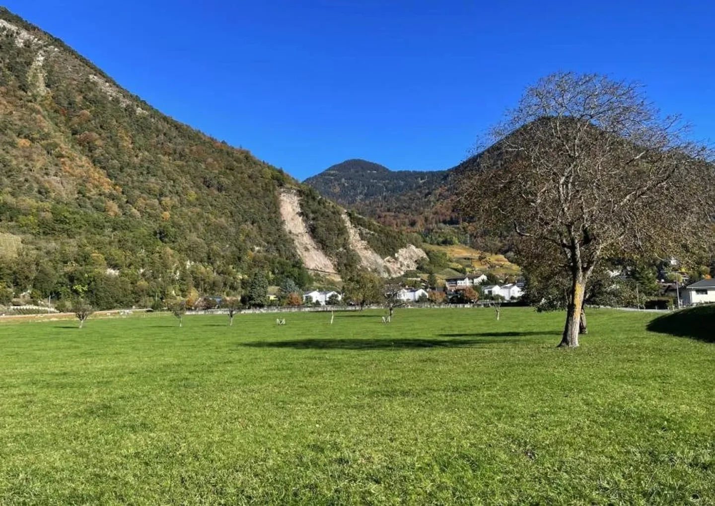 Prime Building Lot in Ollon - Photo 2 of 6