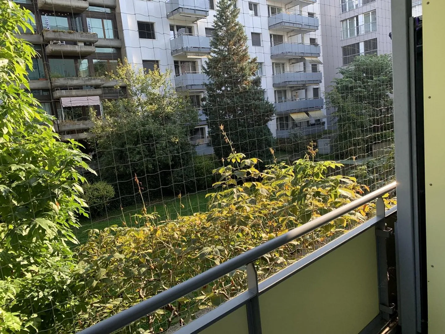 Practice/Office Space with Flexible Design Options in Gundeli - Photo 5 of 13