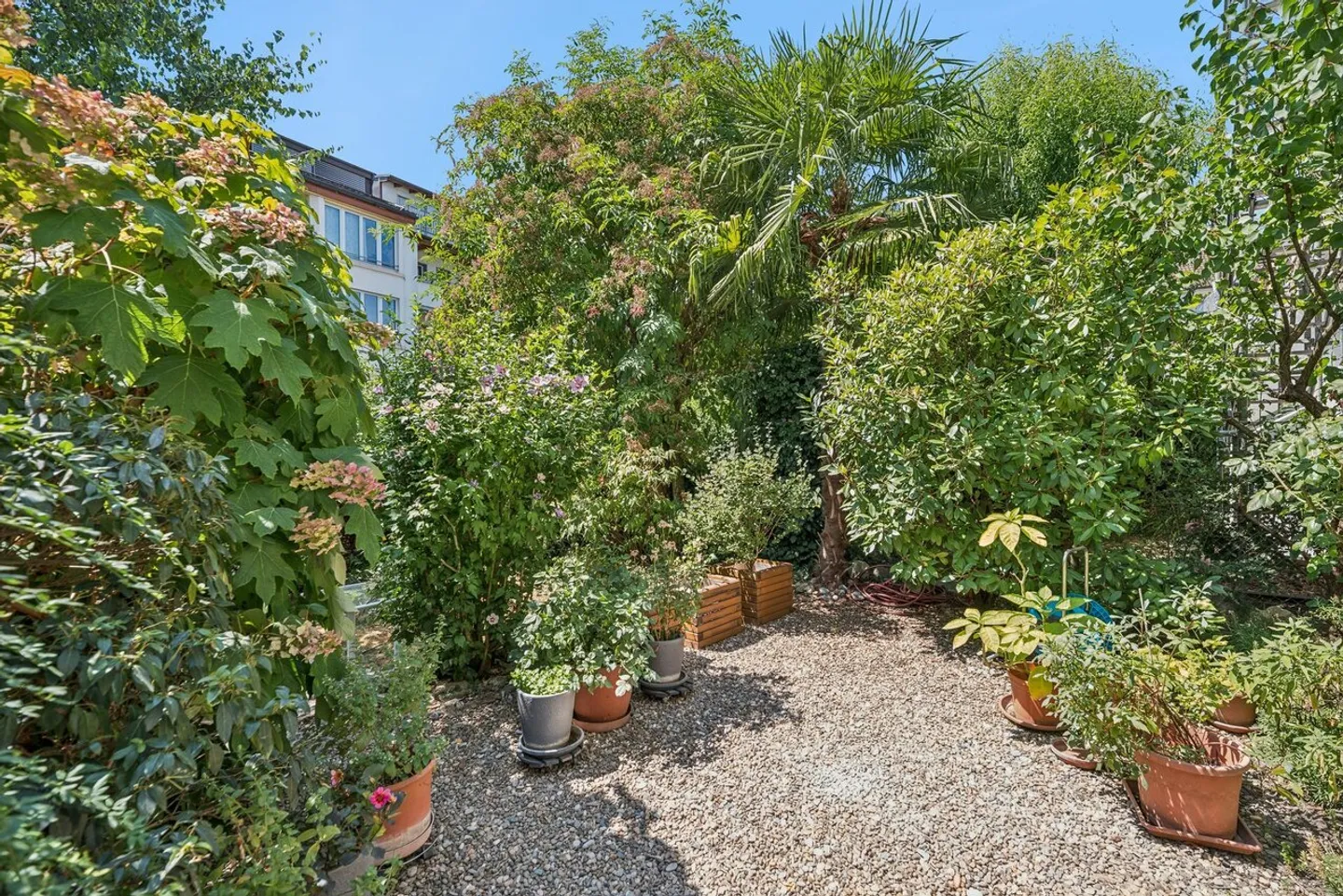Charming Townhouse in Basel - Photo 6 of 7