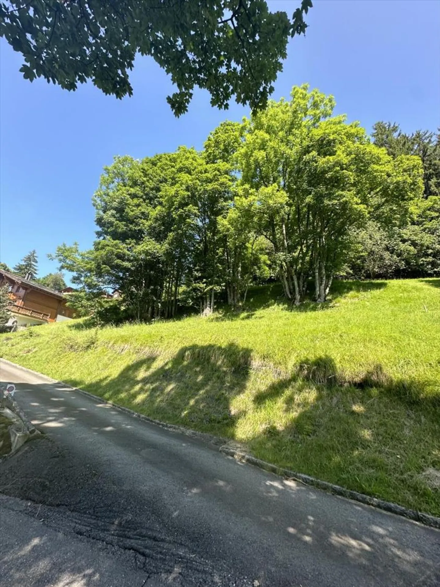 Baugrund in Chesières - Foto 2 von 6