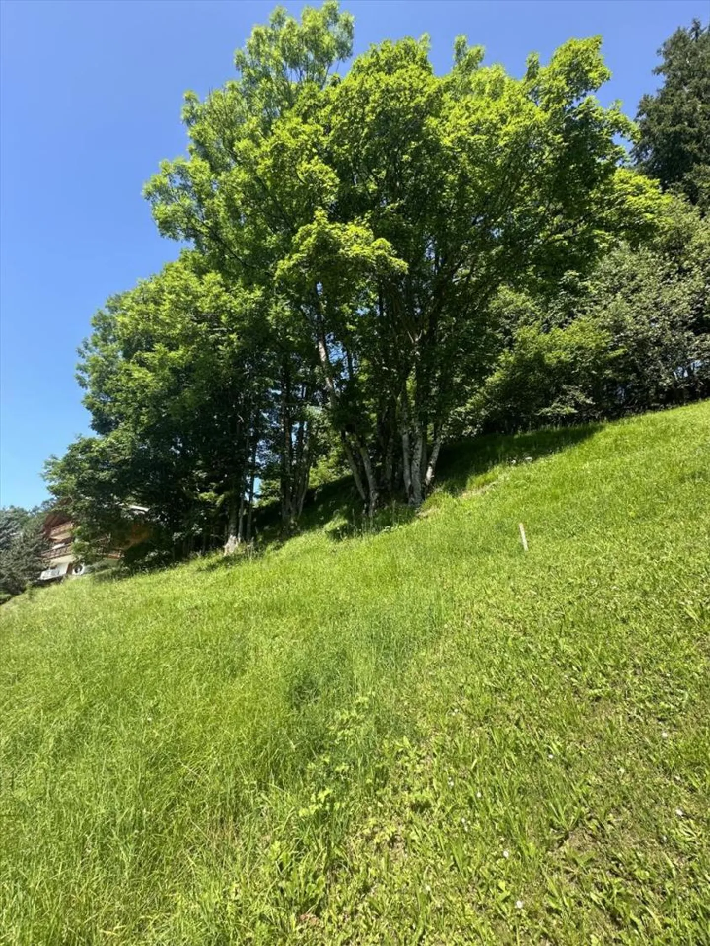 Baugrund in Chesières - Foto 4 von 6