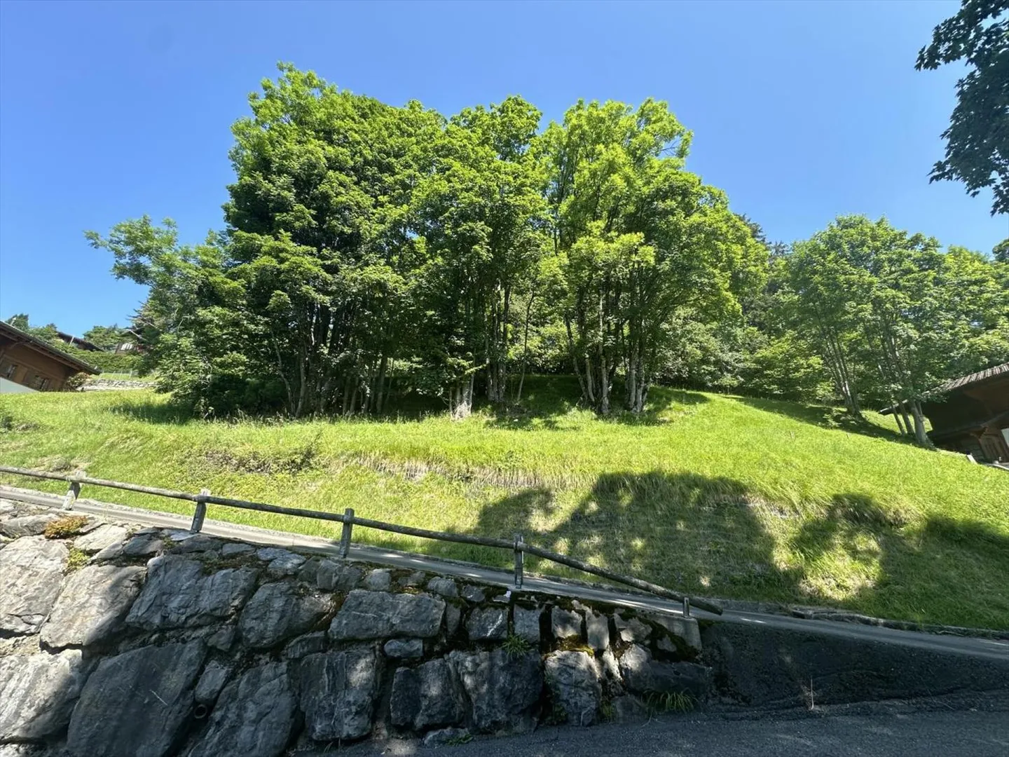 Baugrund in Chesières - Foto 5 von 6