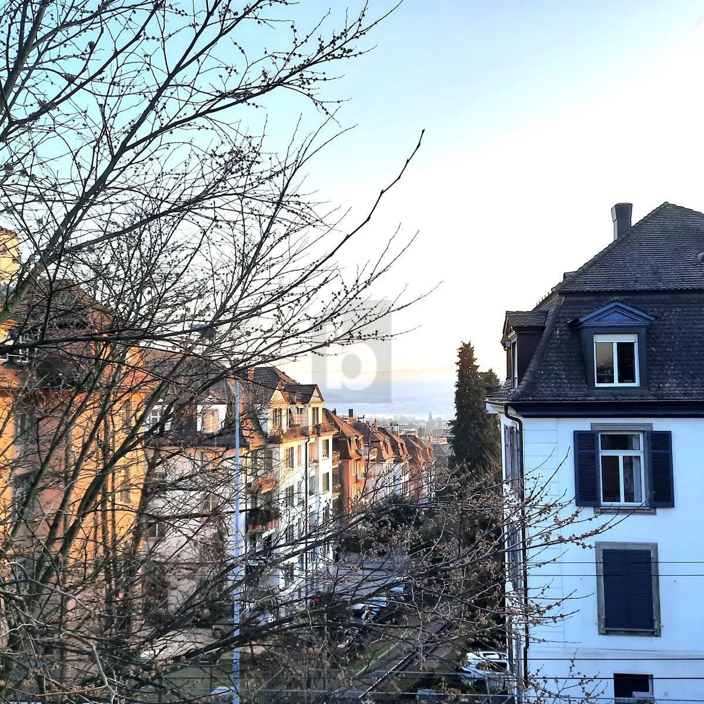 VILLA NEL CUORE DEL ZÜRICHBERG - Foto 5 di 6