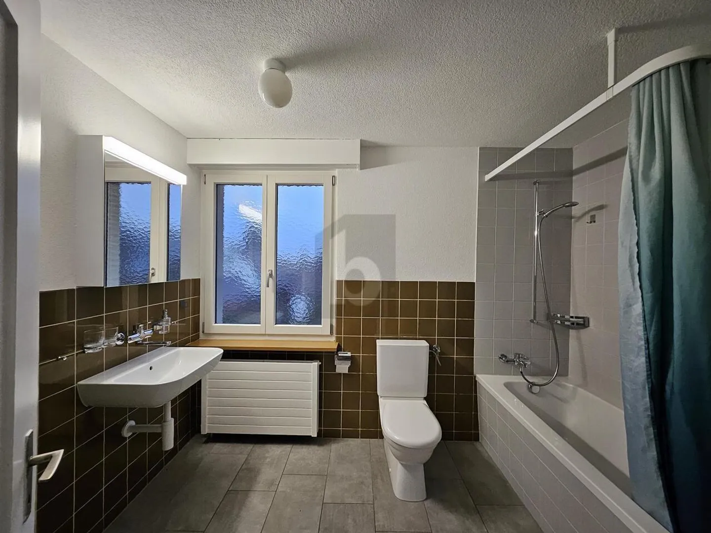 Unique Penthouse in Zurich Wine Region - Photo 5 of 6