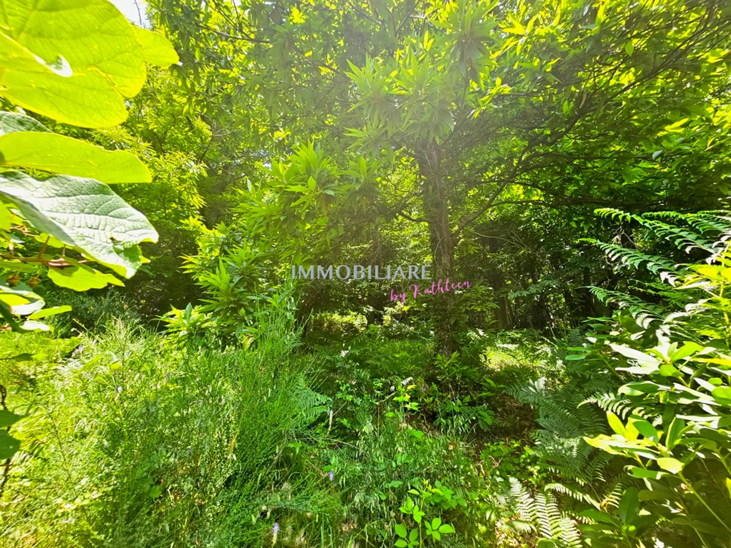 Leben in der Natur, 2.300 m² Baugrundstück, Panoramablick - Foto 8 von 14