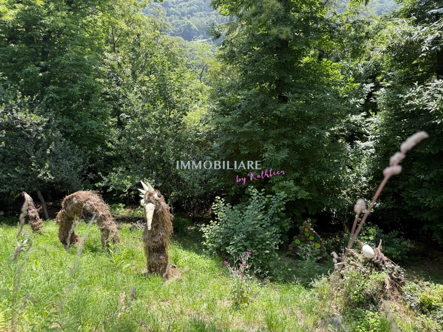 Leben in der Natur, 2.300 m² Baugrundstück, Panoramablick - Foto 10 von 14